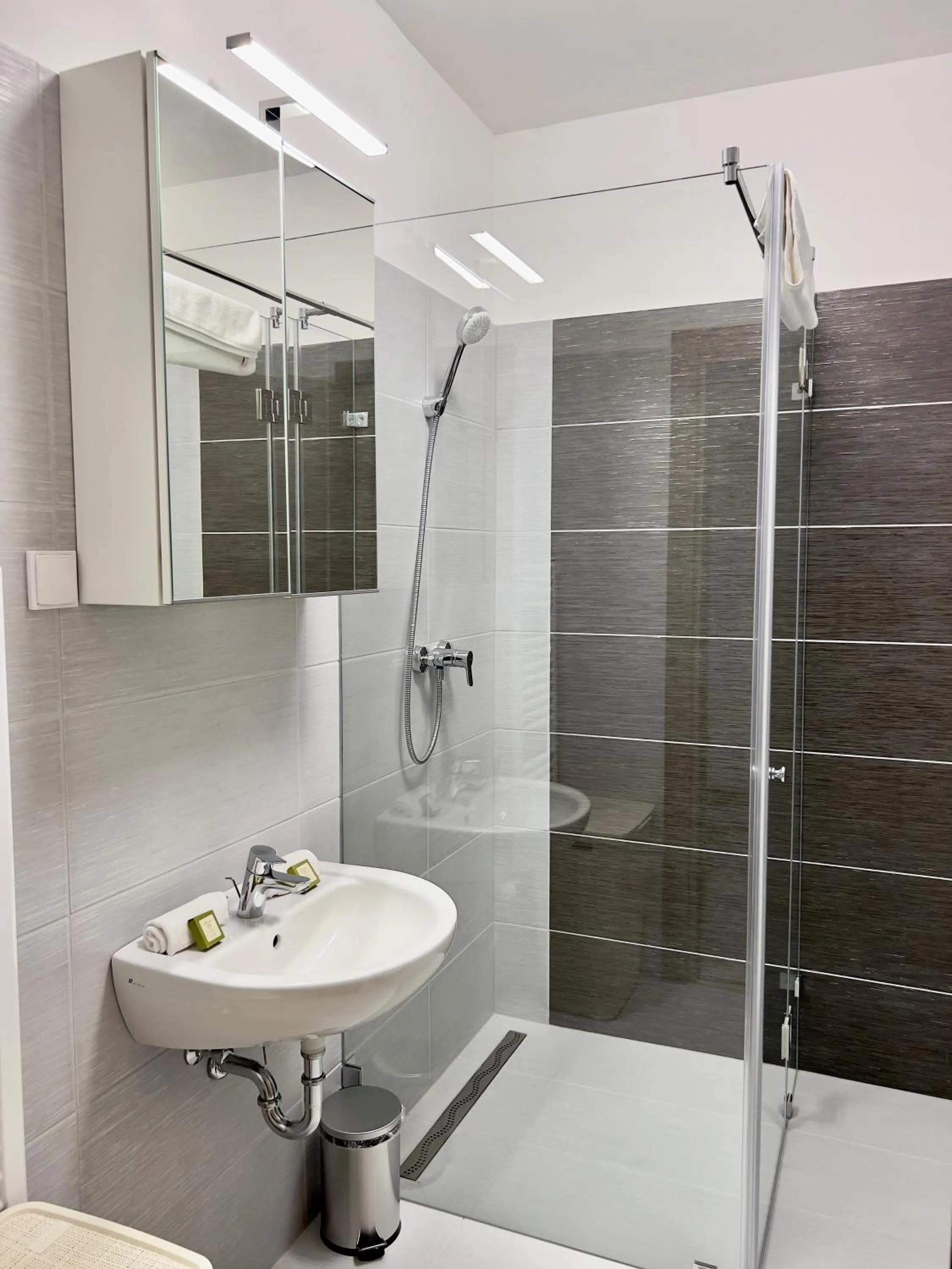 Shower in Hotel Foldana