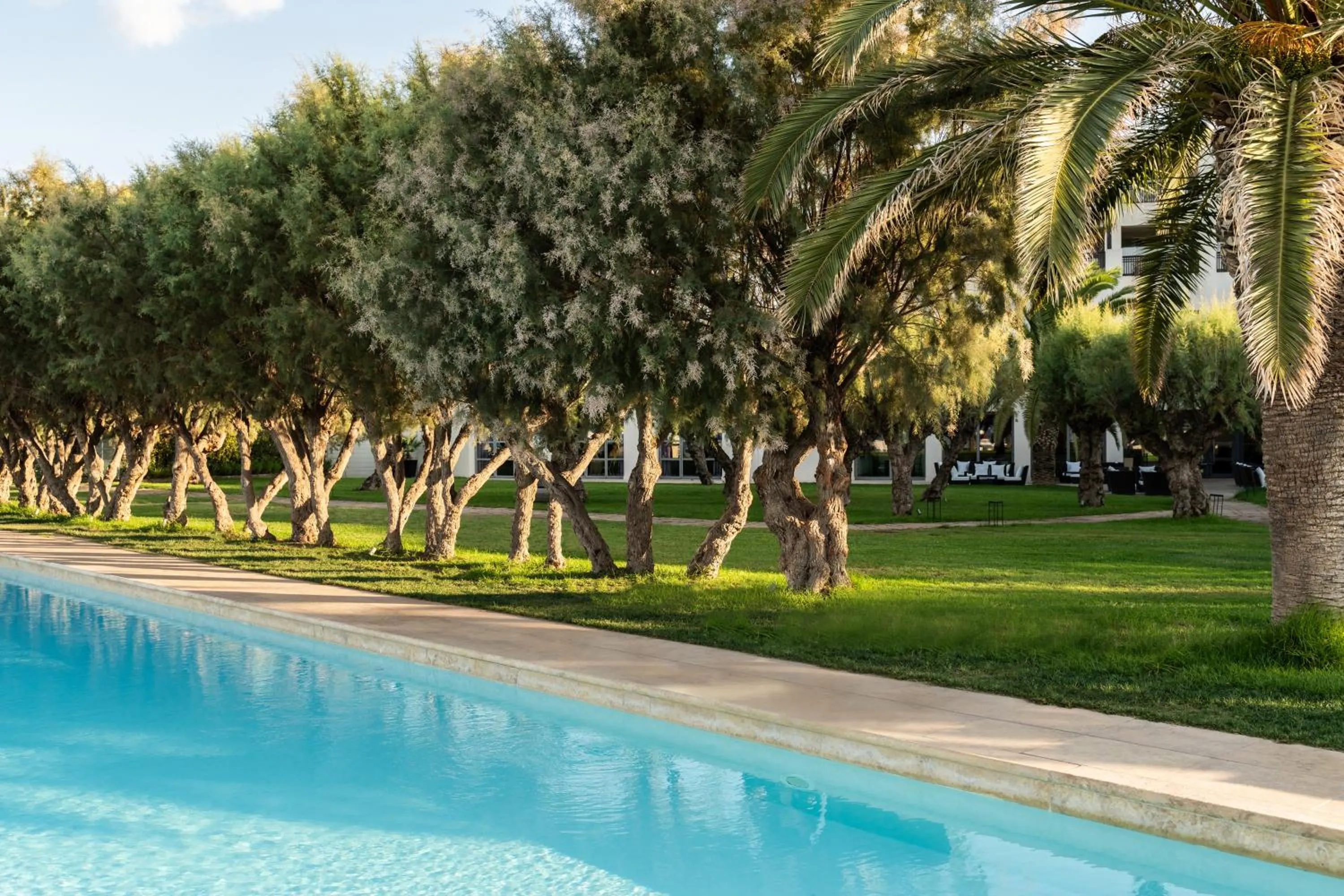 Garden in Plaza Resort