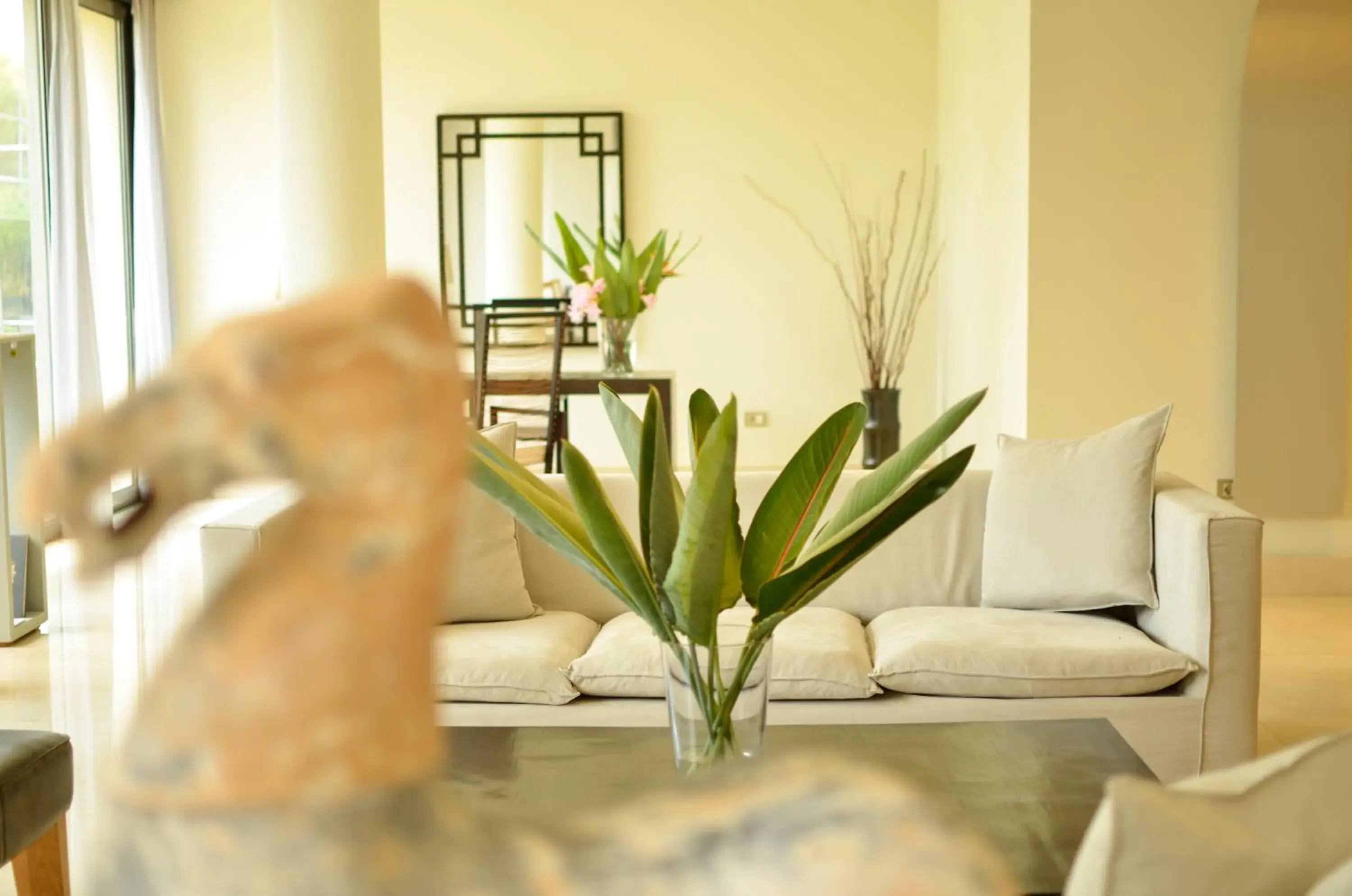 Property building in Plaza Resort Property building in Plaza Resort