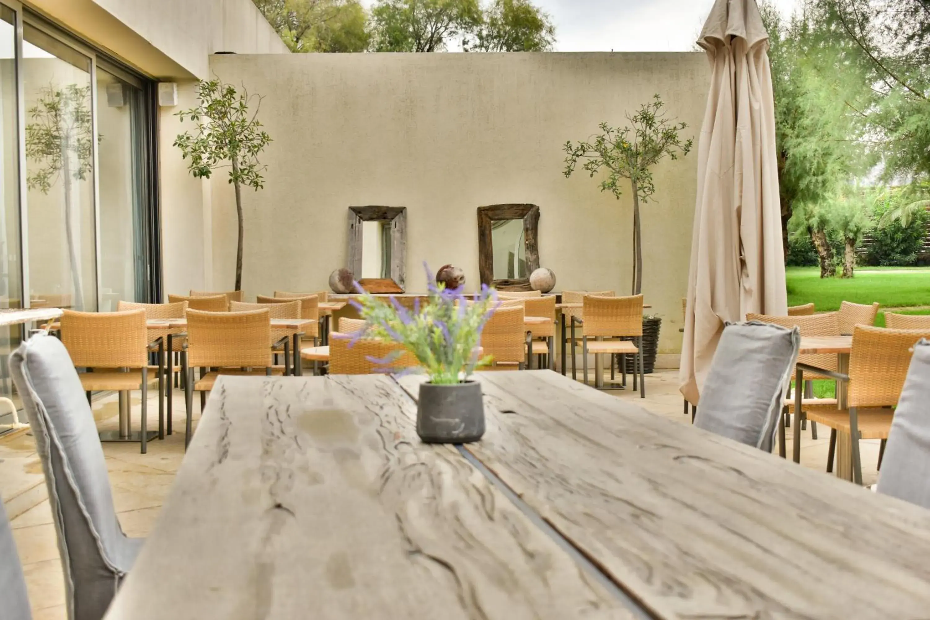 Restaurant/places to eat in Plaza Resort Restaurant/places to eat in Plaza Resort