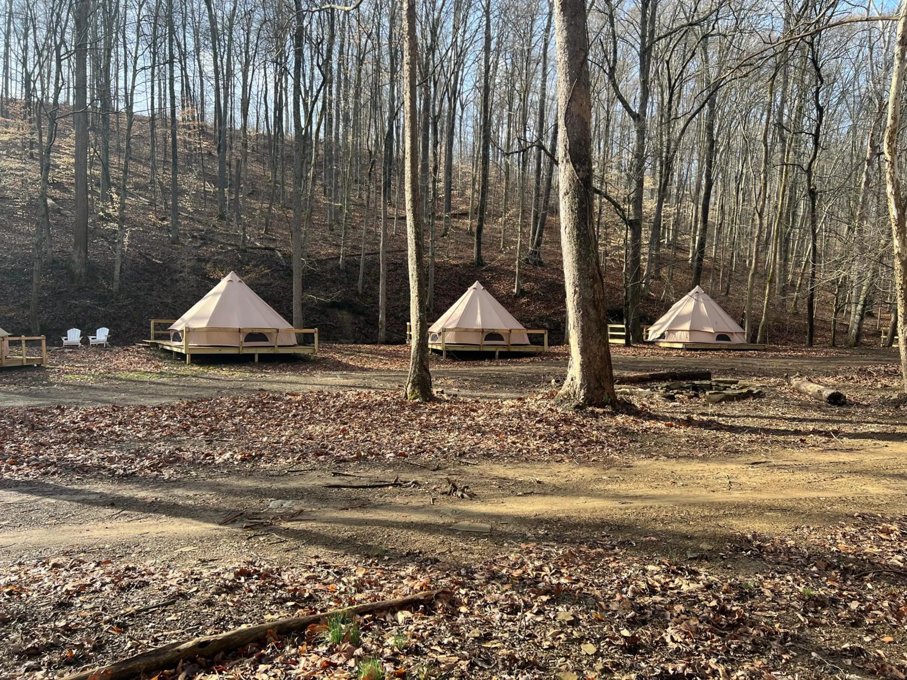 Spring in Harmony Tree Resorts inc