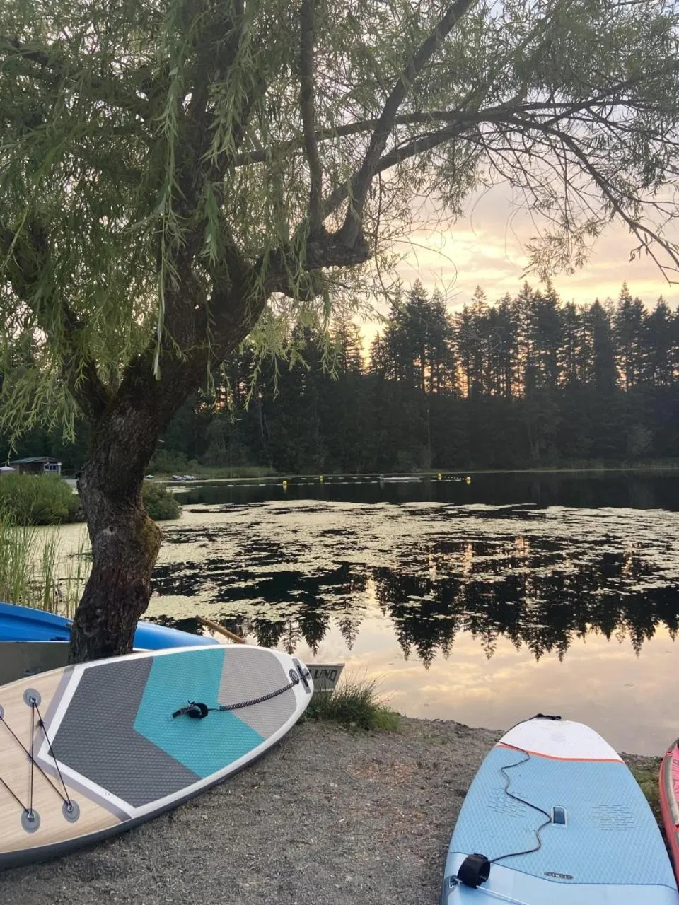 Activities in Beaver Lake Resort Site #36