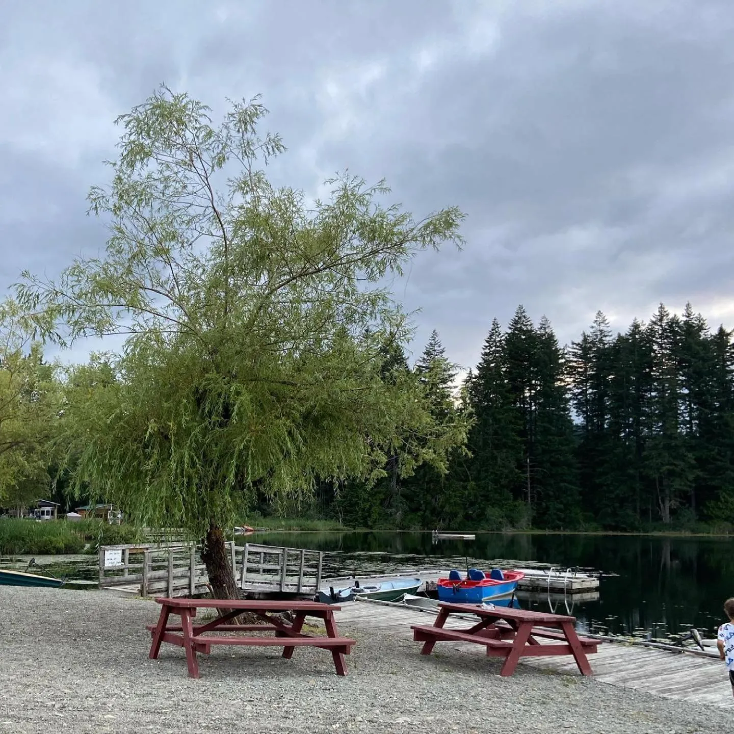 Natural landscape in Beaver Lake Resort Site #36