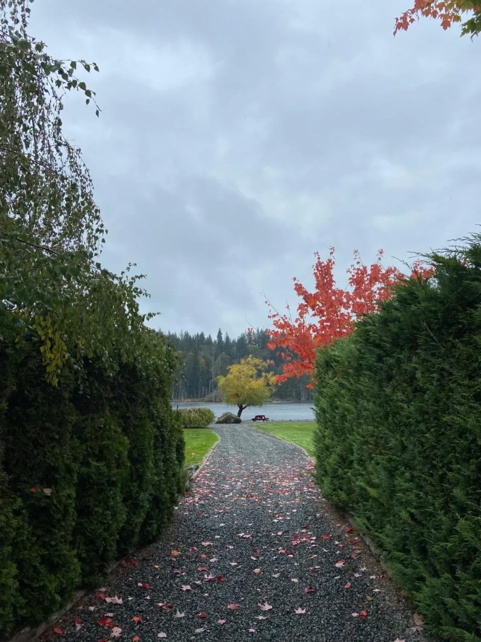 Natural landscape in Beaver Lake Resort Site #36