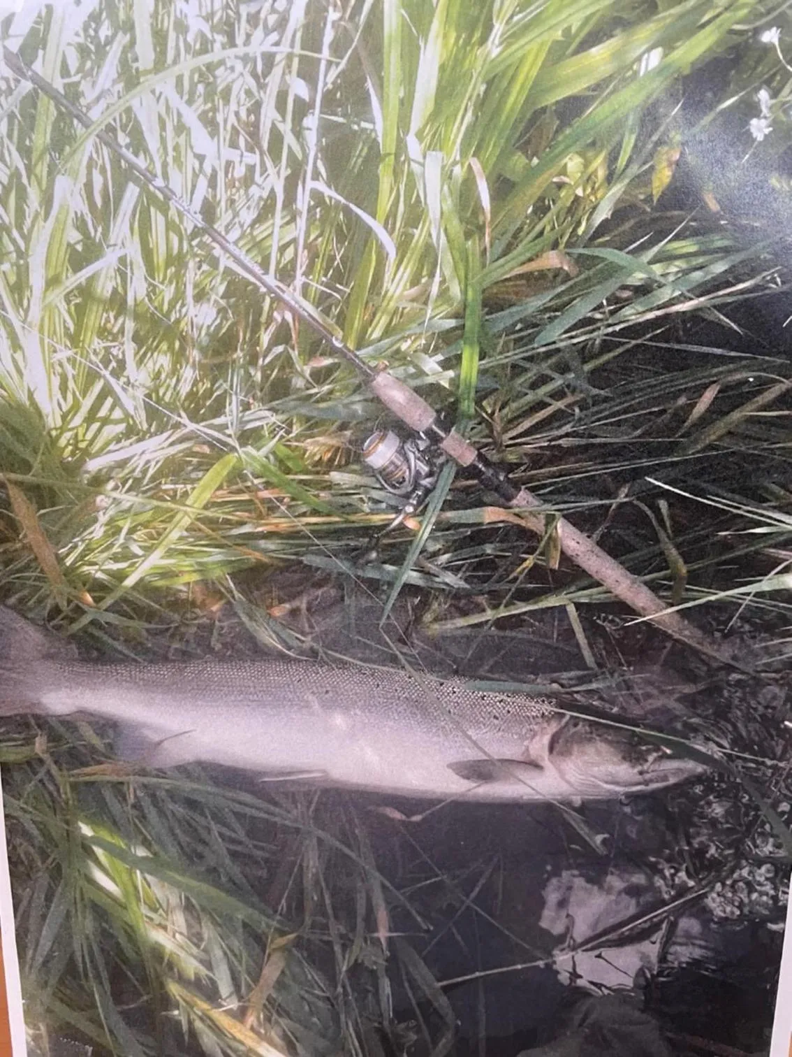 Fishing in Skjernaa-ferie/ Andersen Invest