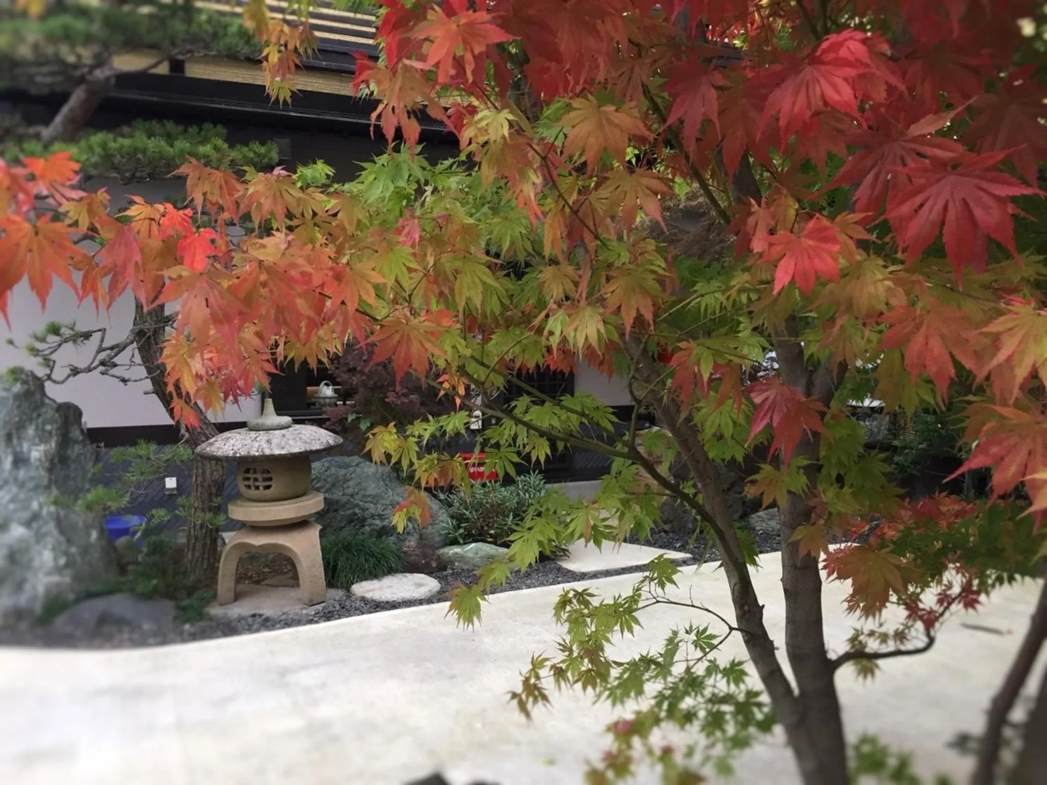 Kusatsu Onsen 326 Yamanoyu Hotel - Vacation STAY 10465v