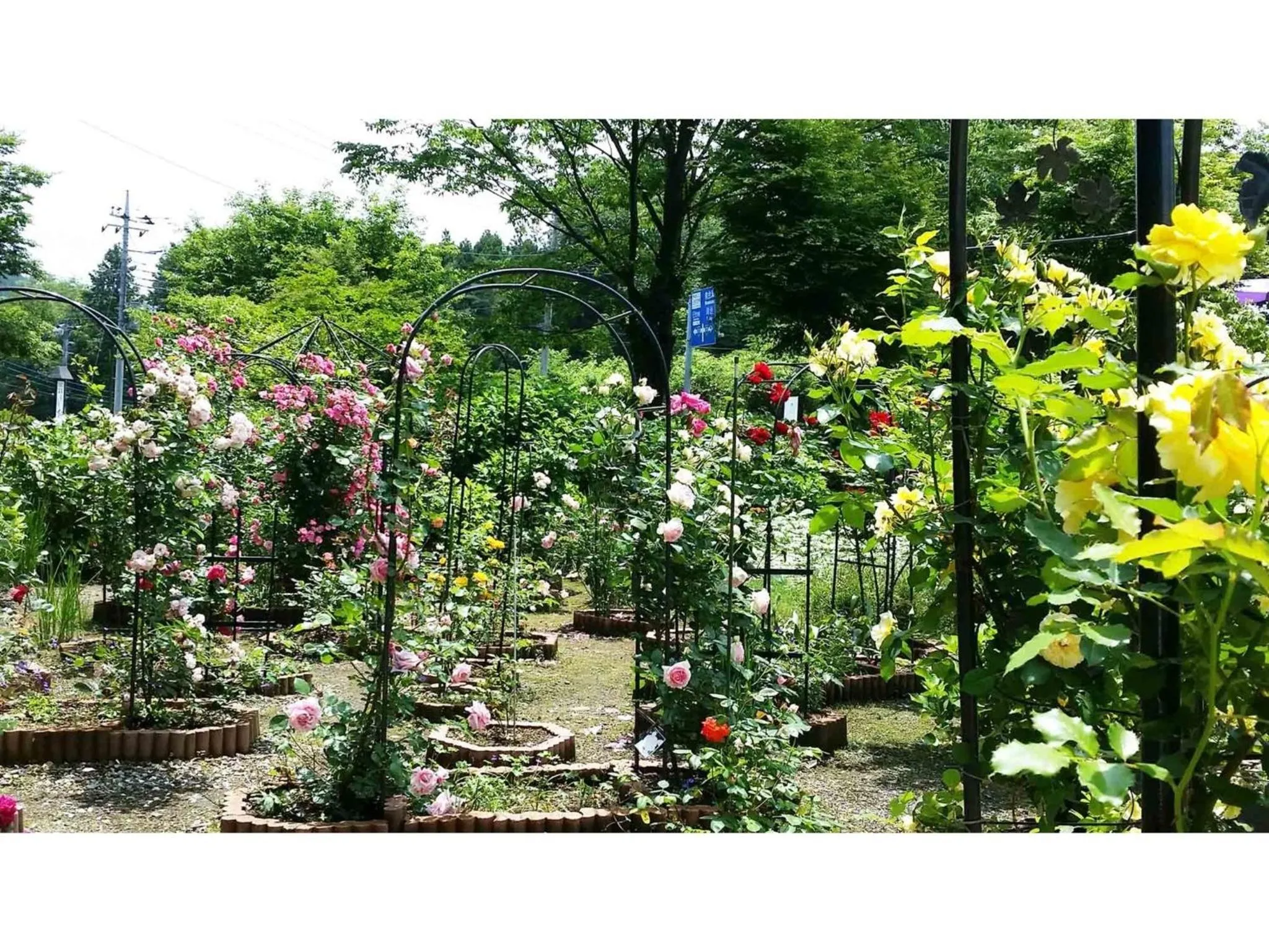 Sudomari no Yado Sunmore - Vacation STAY 46722v