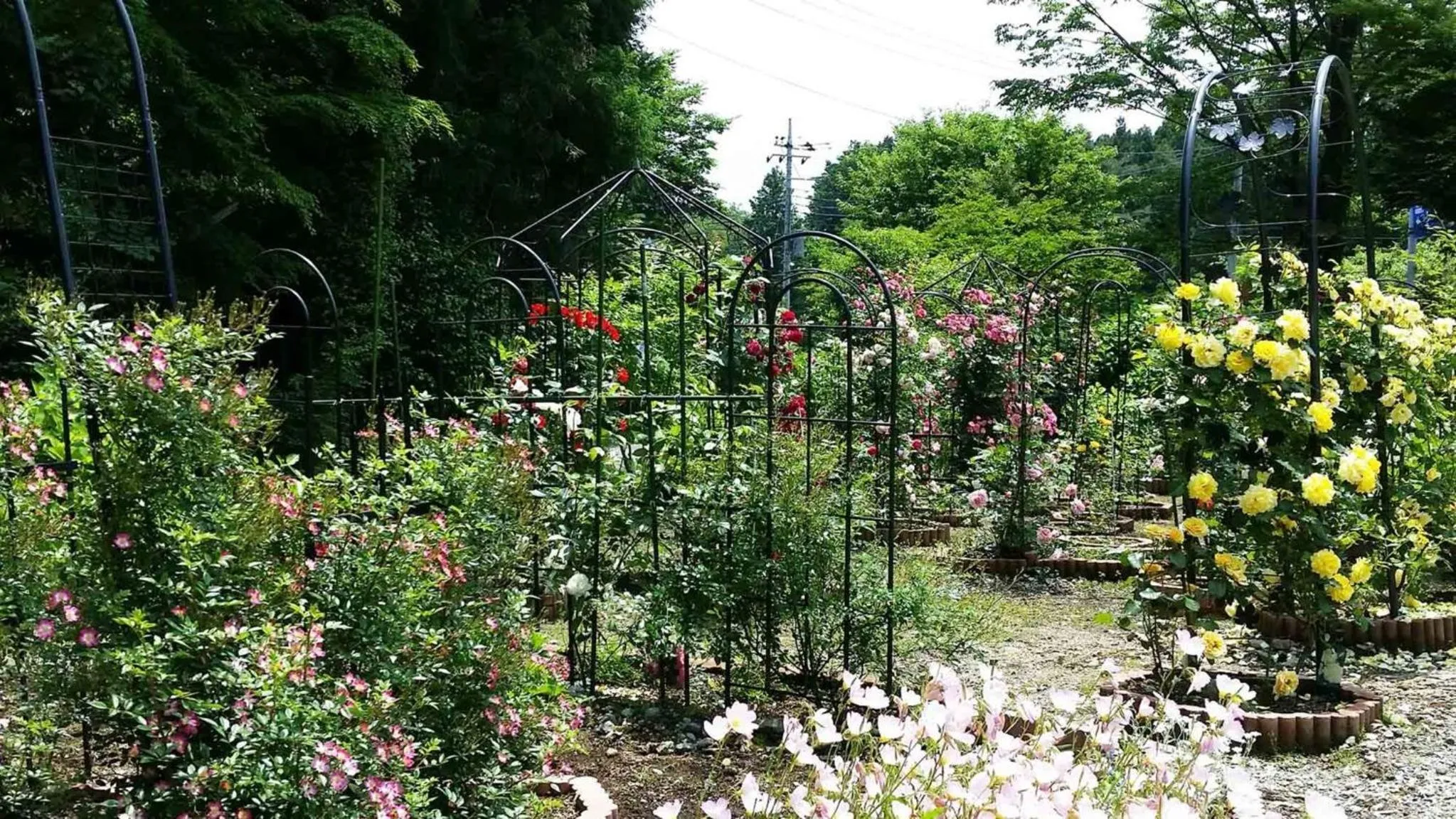 Sudomari no Yado Sunmore - Vacation STAY 46722v