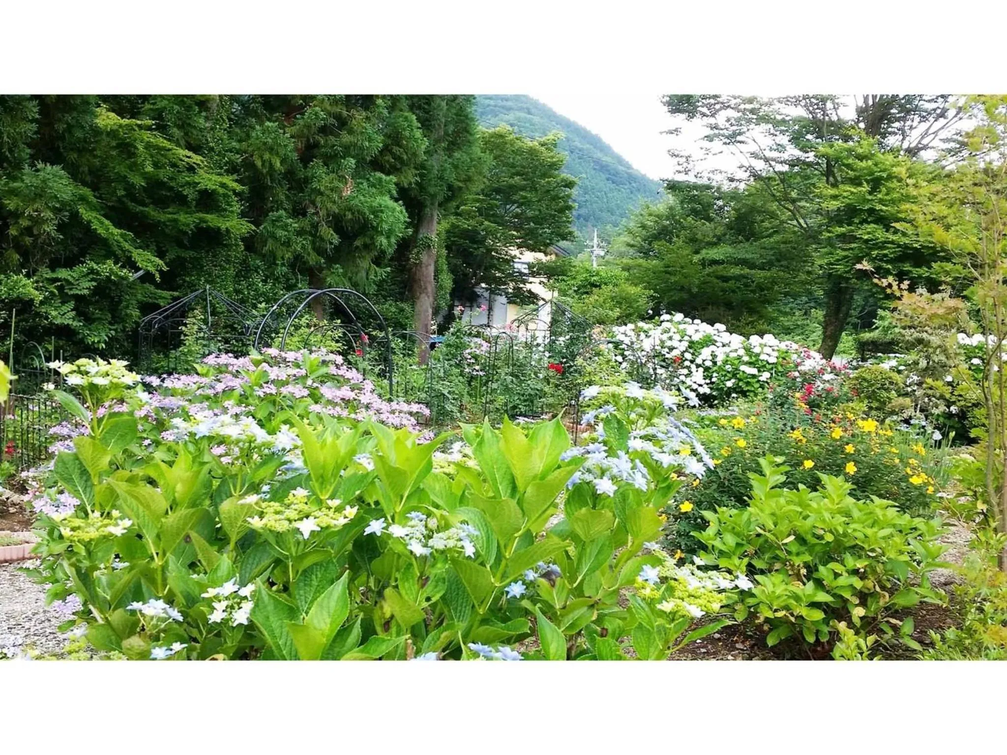 Sudomari no Yado Sunmore - Vacation STAY 46742v