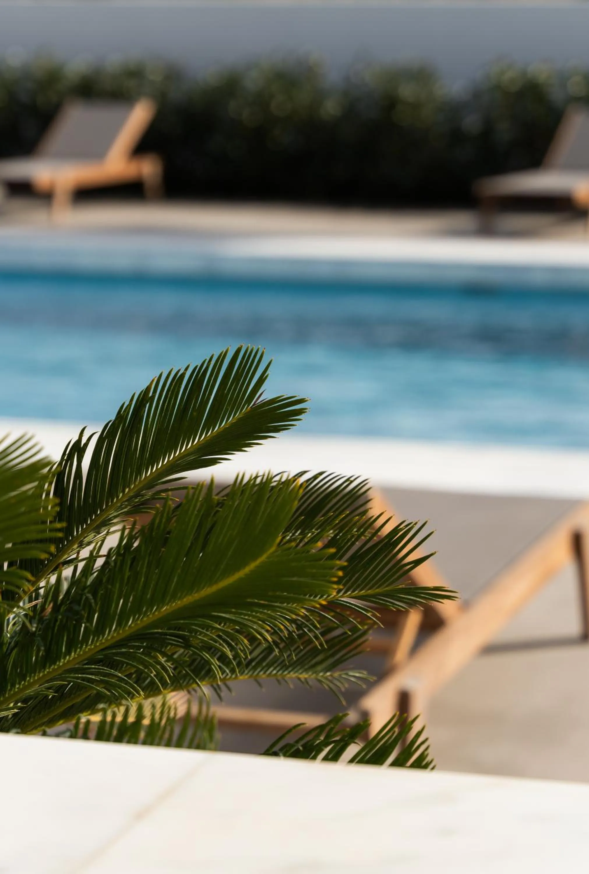 Swimming pool in Tzanis Resort Skyros