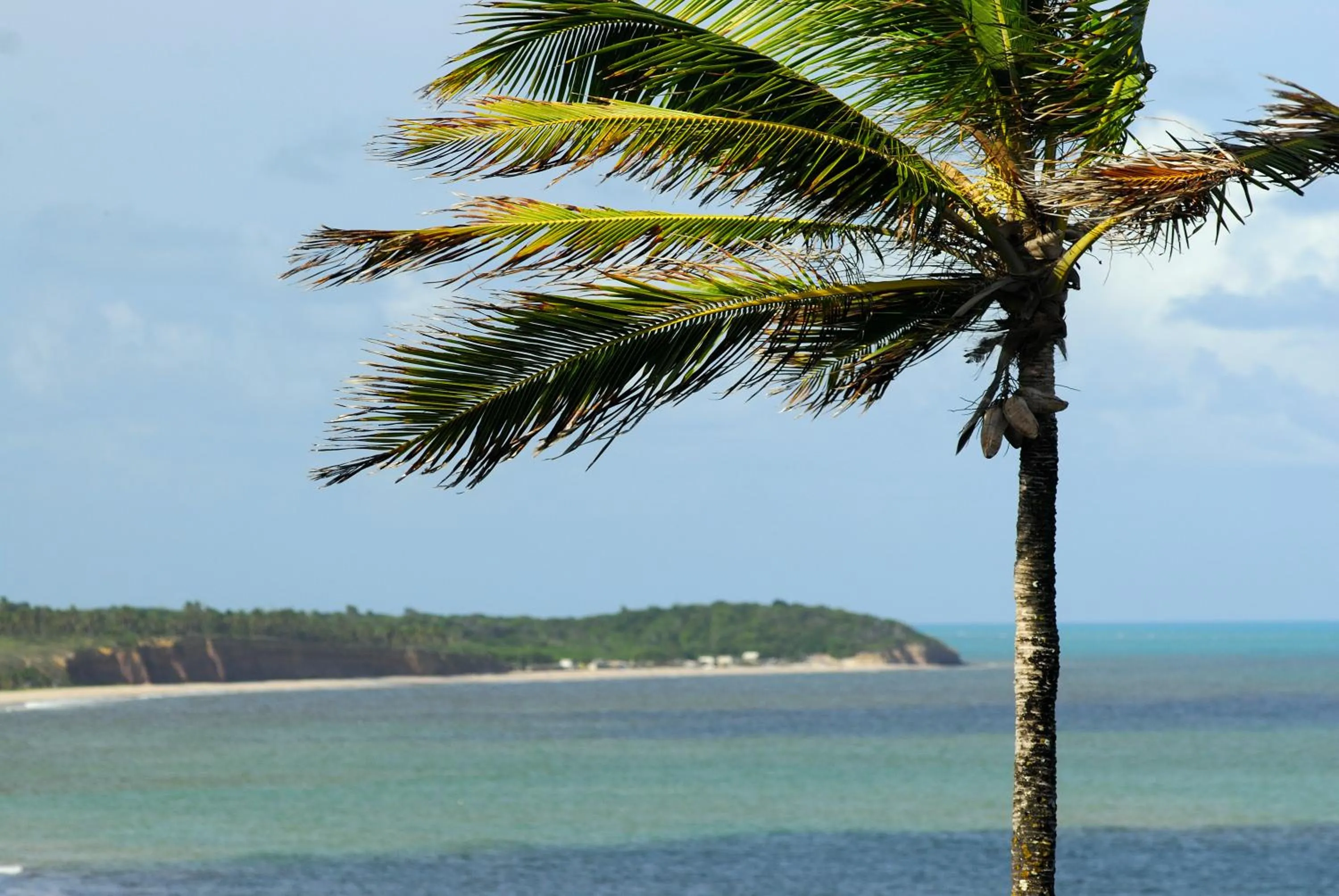 Chocolate com pimenta Edifício - Praia do Bessa