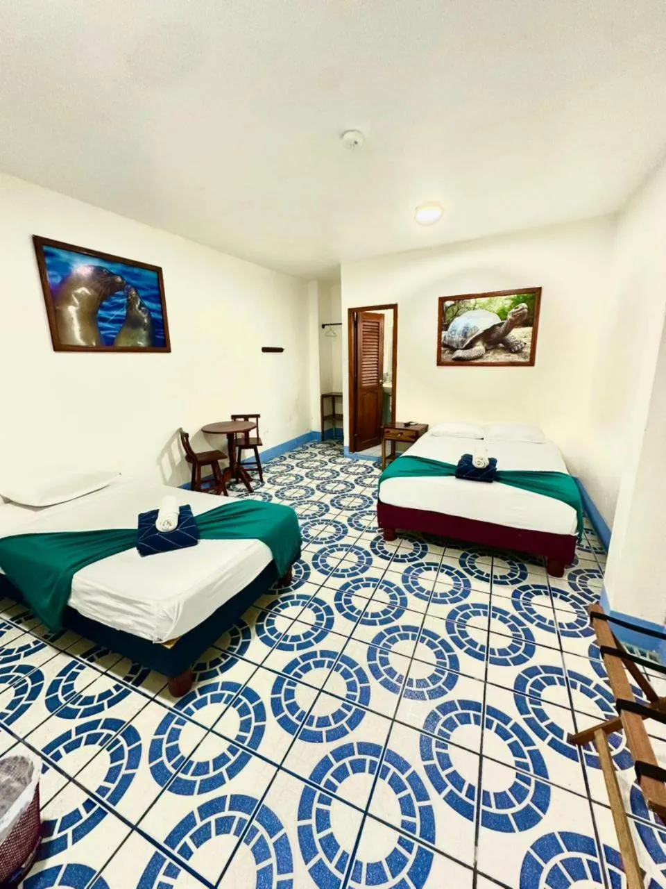 Twin Room in Hostal Gardner