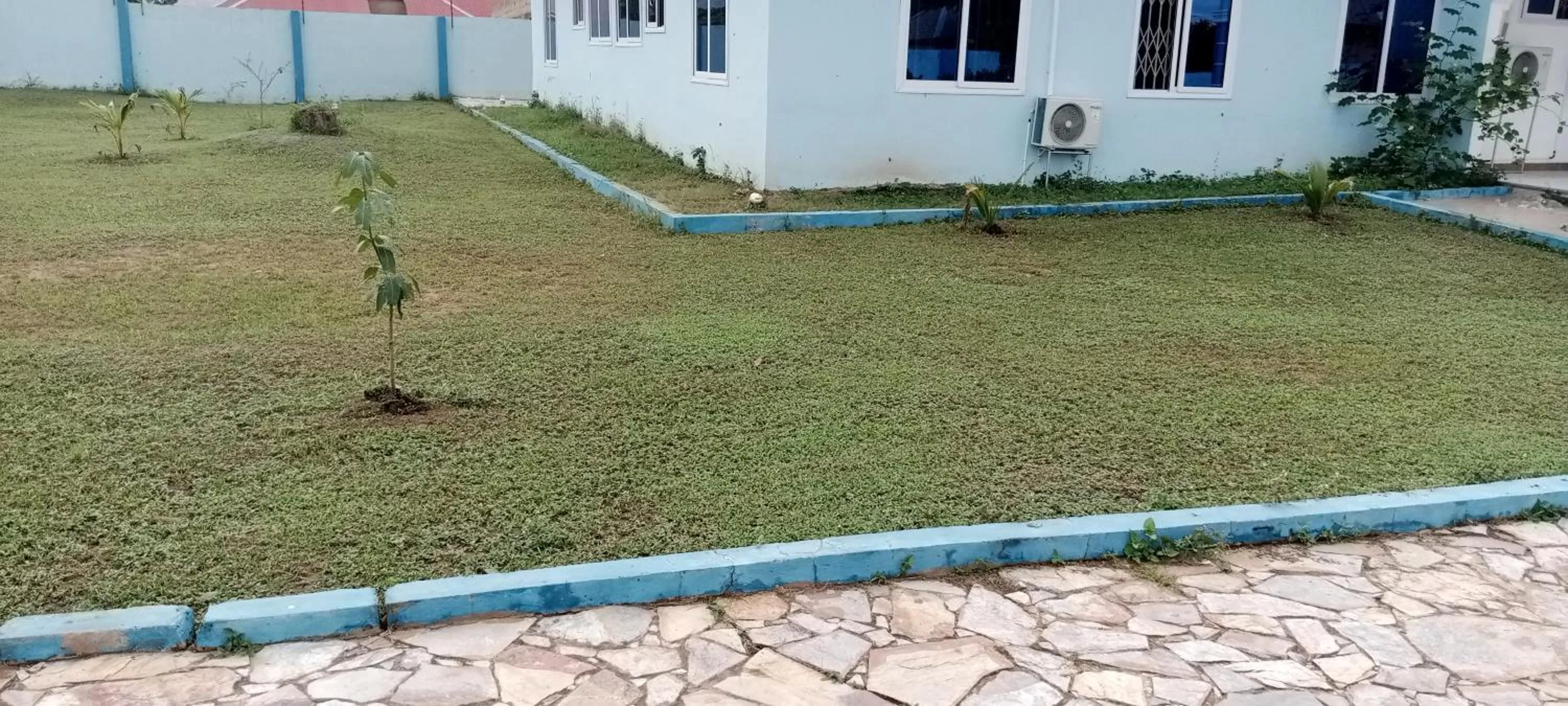 Dexxy's Palace Hotel