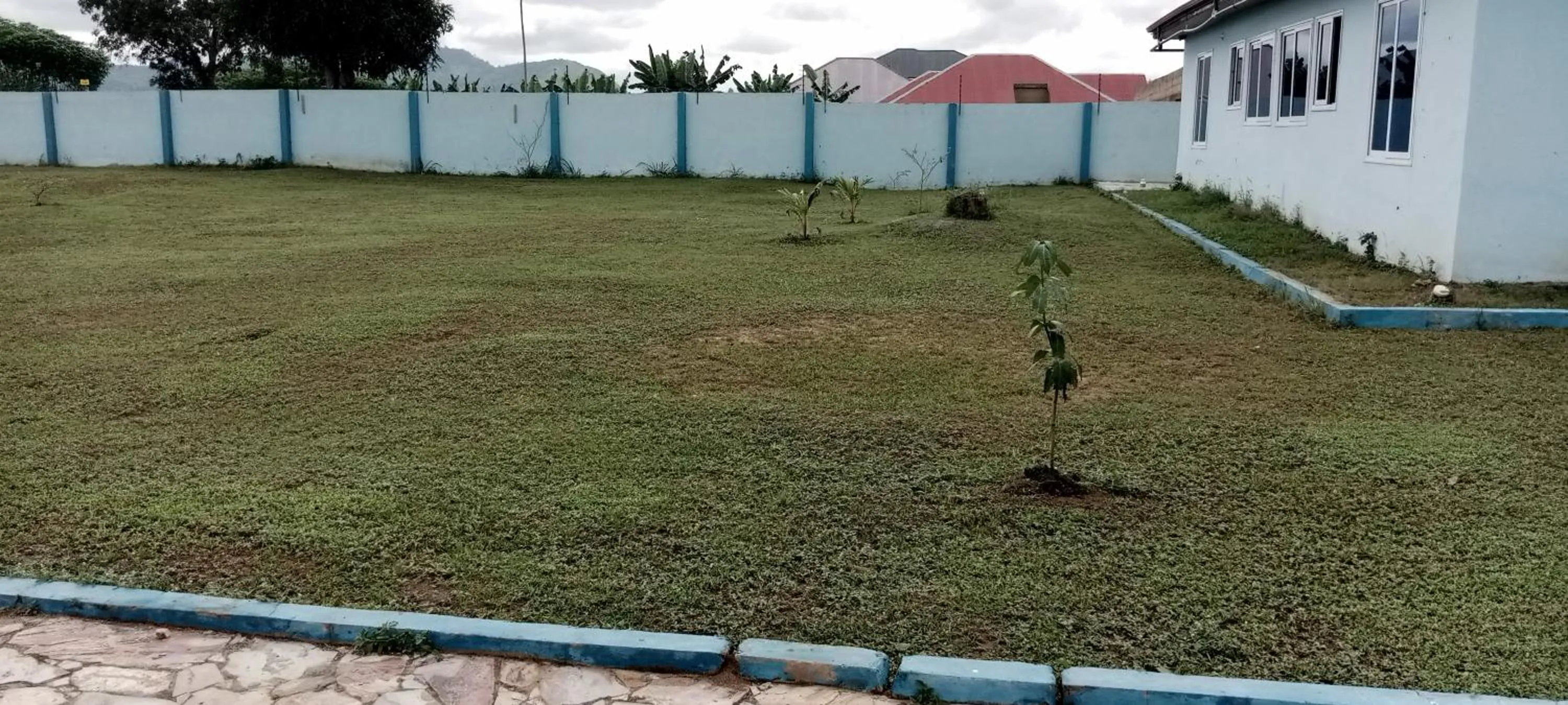 Dexxy's Palace Hotel