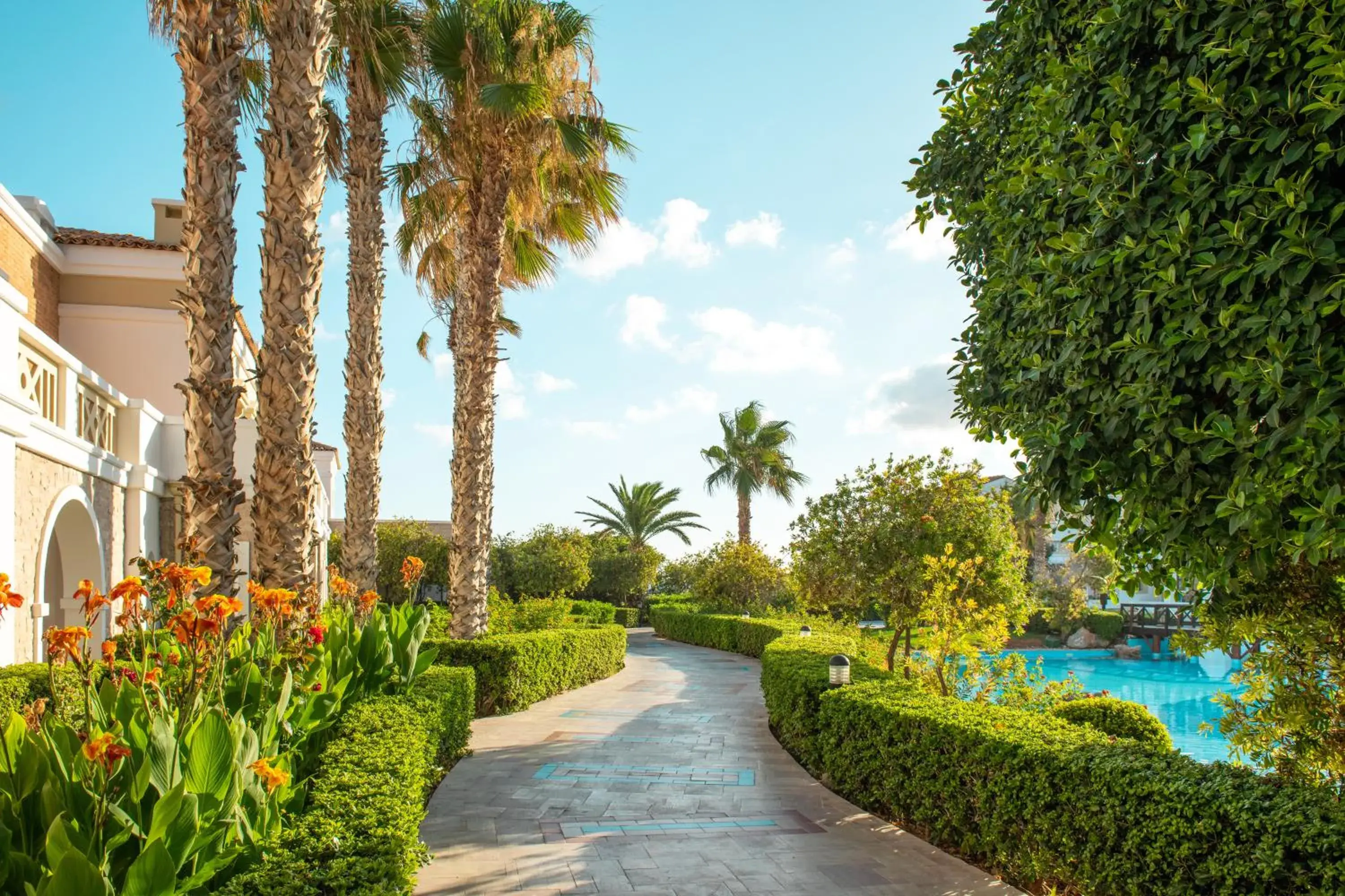 Mitsis Royal Mare Mitsis Royal Mare