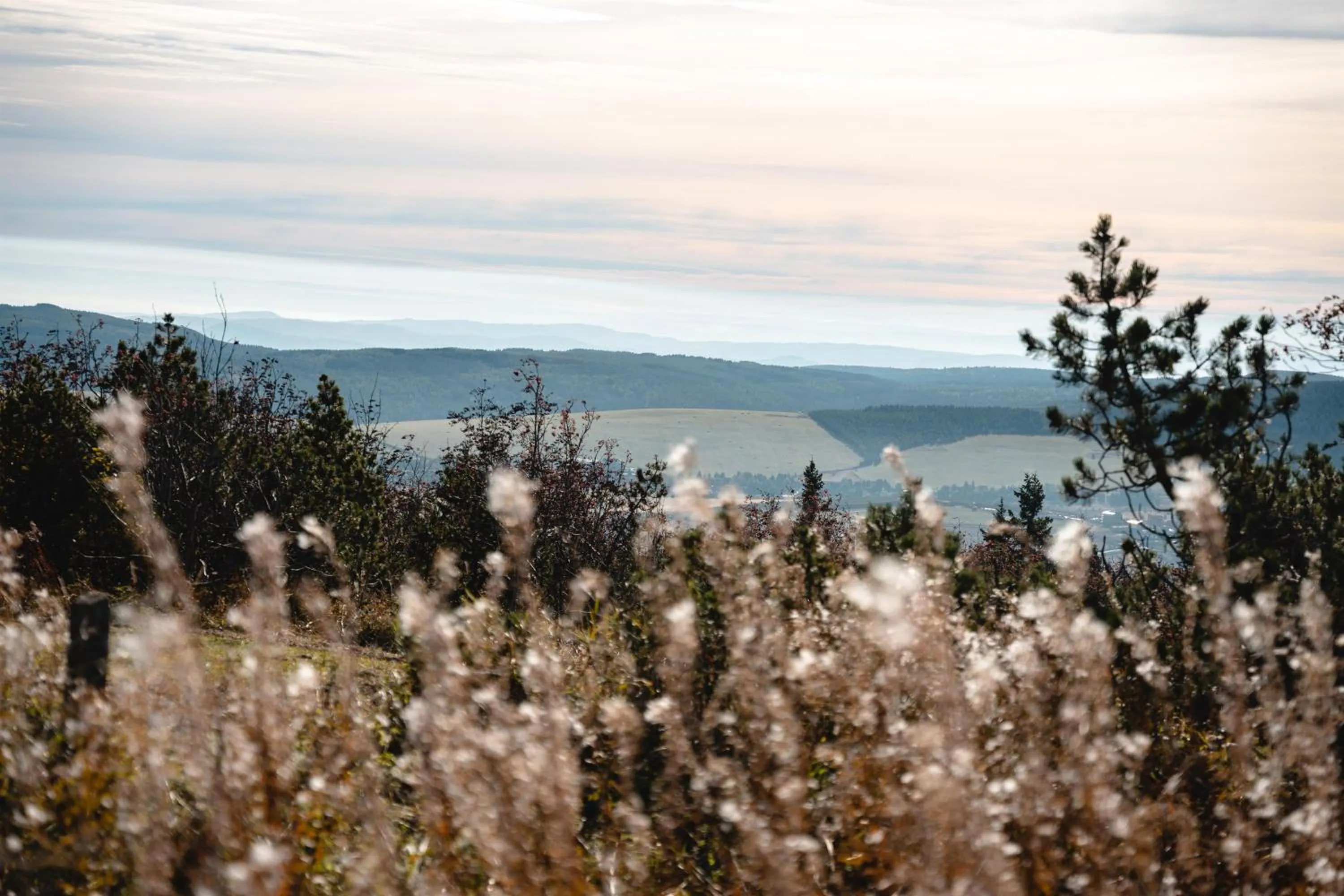Natural landscape in Hotel Fichtelberghaus - ganz oben im Erzgebirge