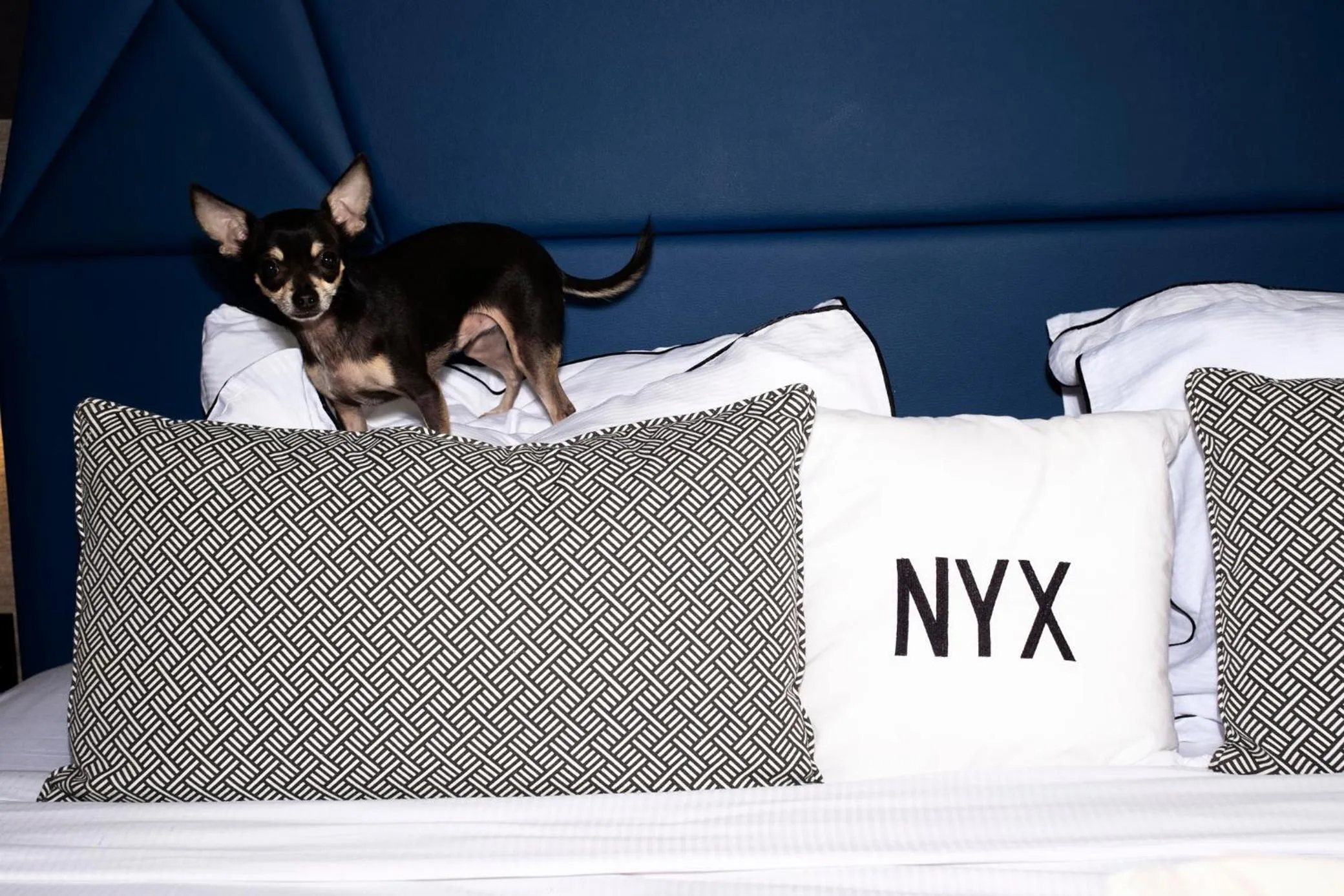 Photo of the whole room in NYX Hotel Limassol