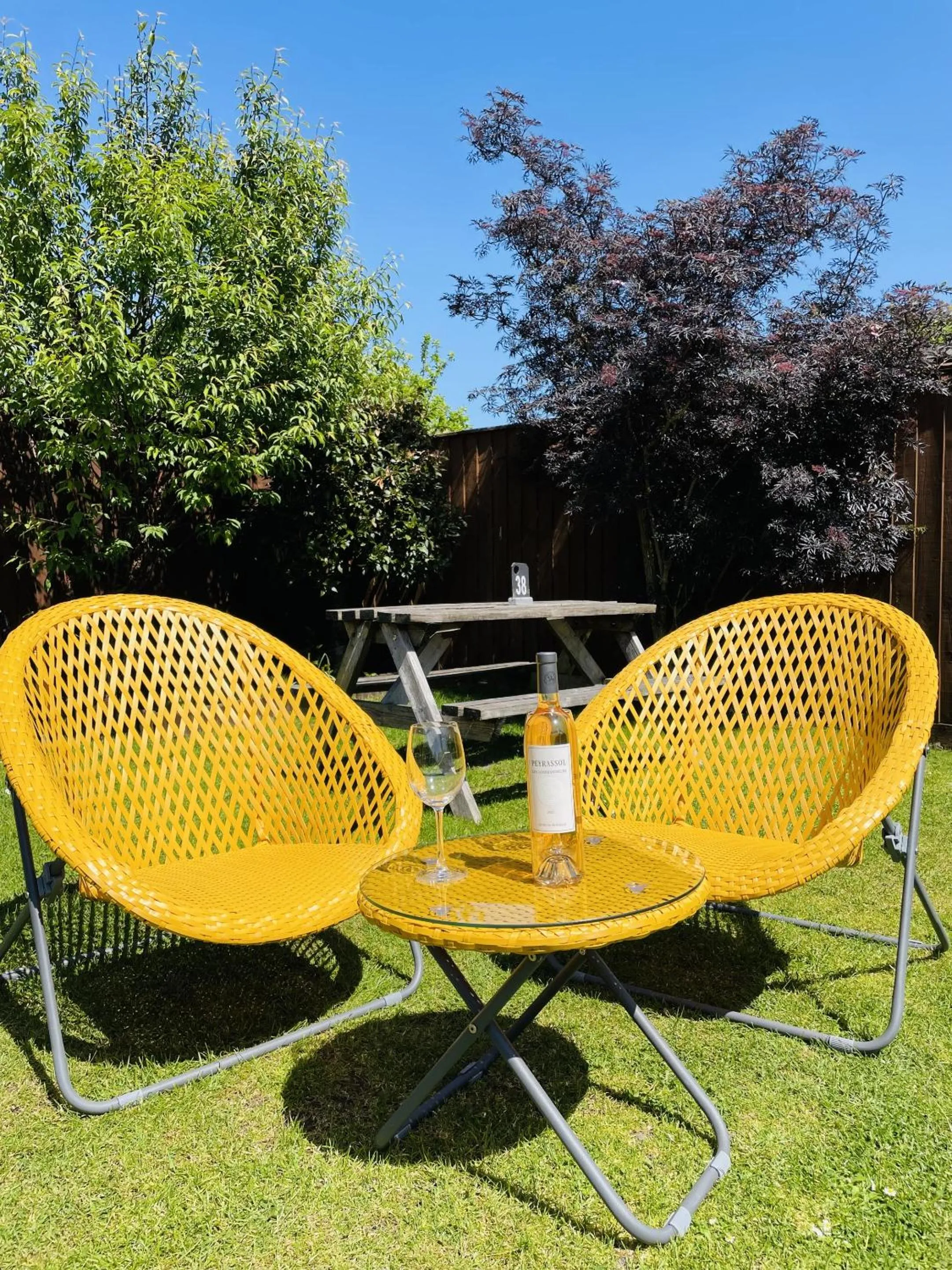 Garden in The Greyhound Inn