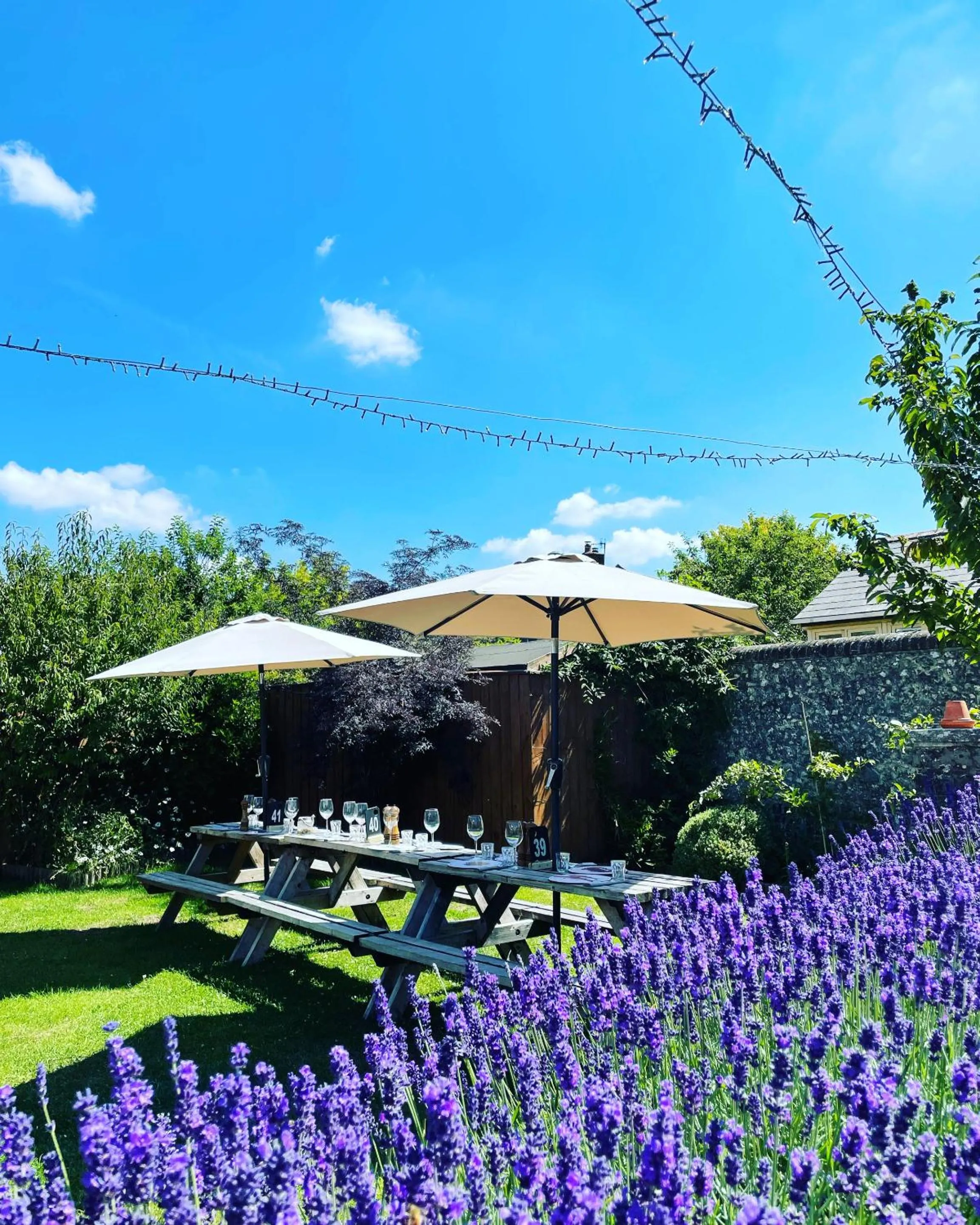 Garden in The Greyhound Inn