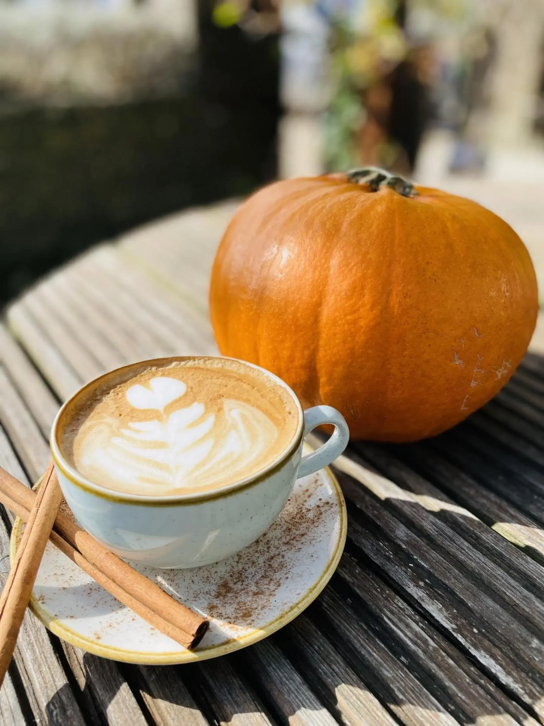 Food and drinks in The Greyhound Inn Food and drinks in The Greyhound Inn