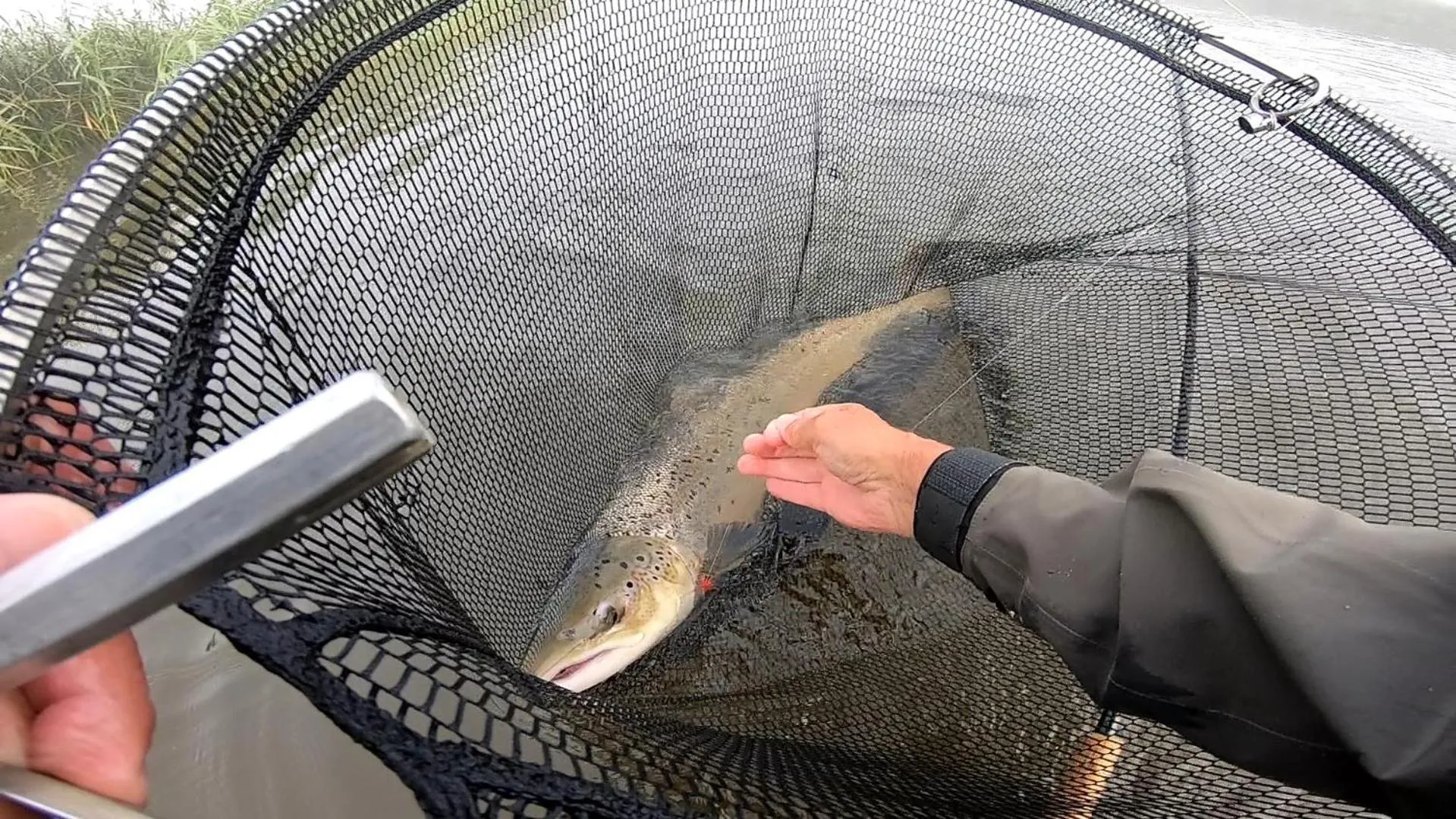 Fishing in rooms for rent Andersen Invest