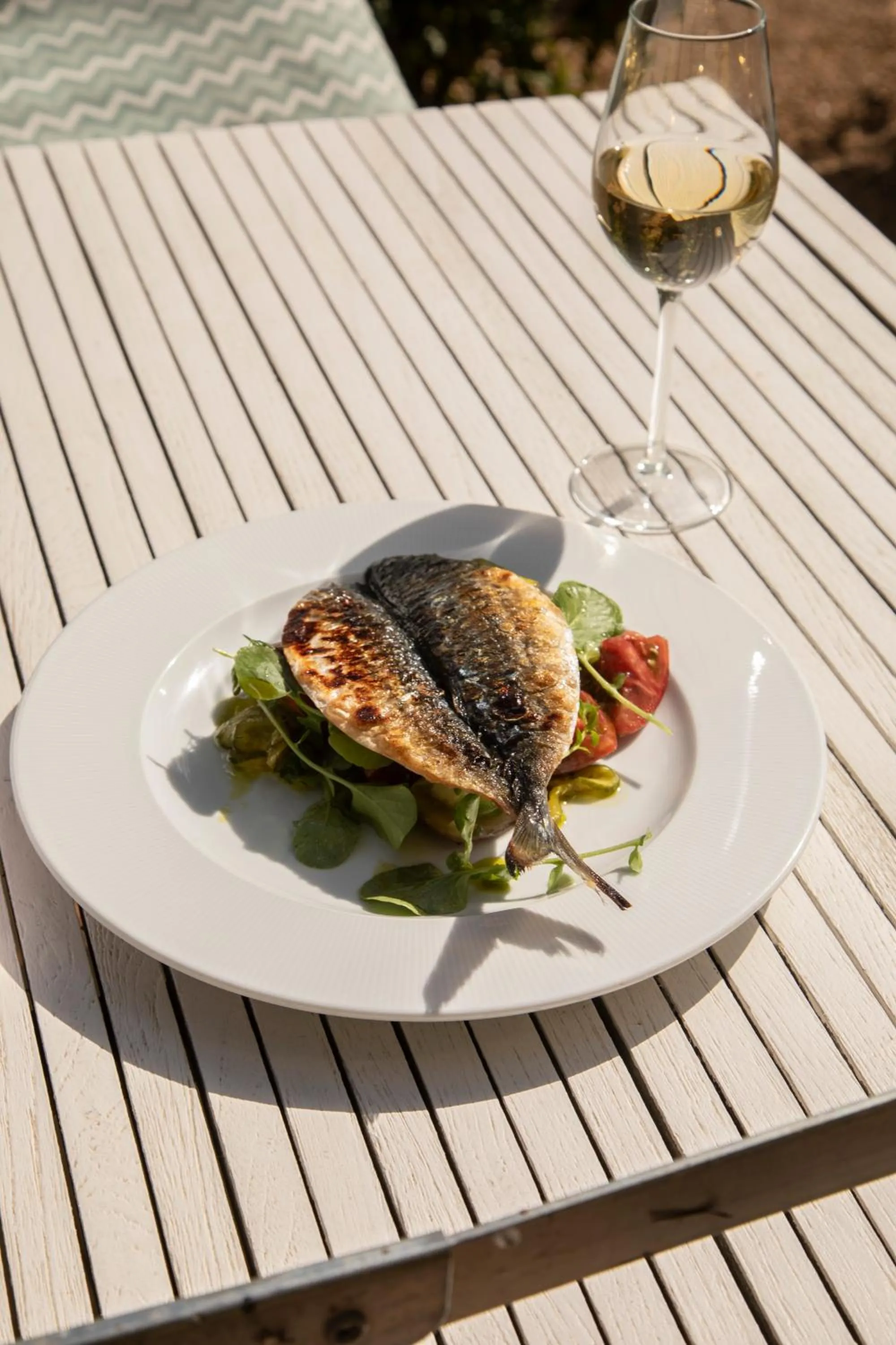 Fritton Lake - The Clubhouse