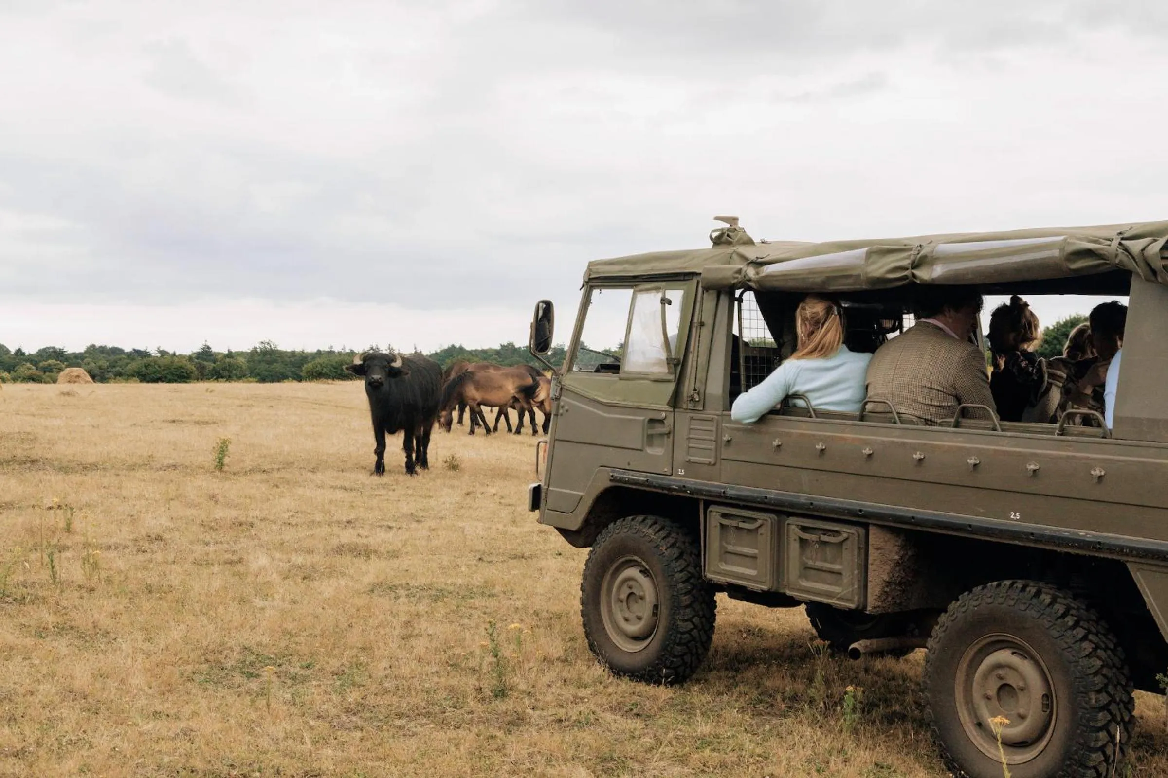 Natural landscape in Fritton Lake - The Clubhouse