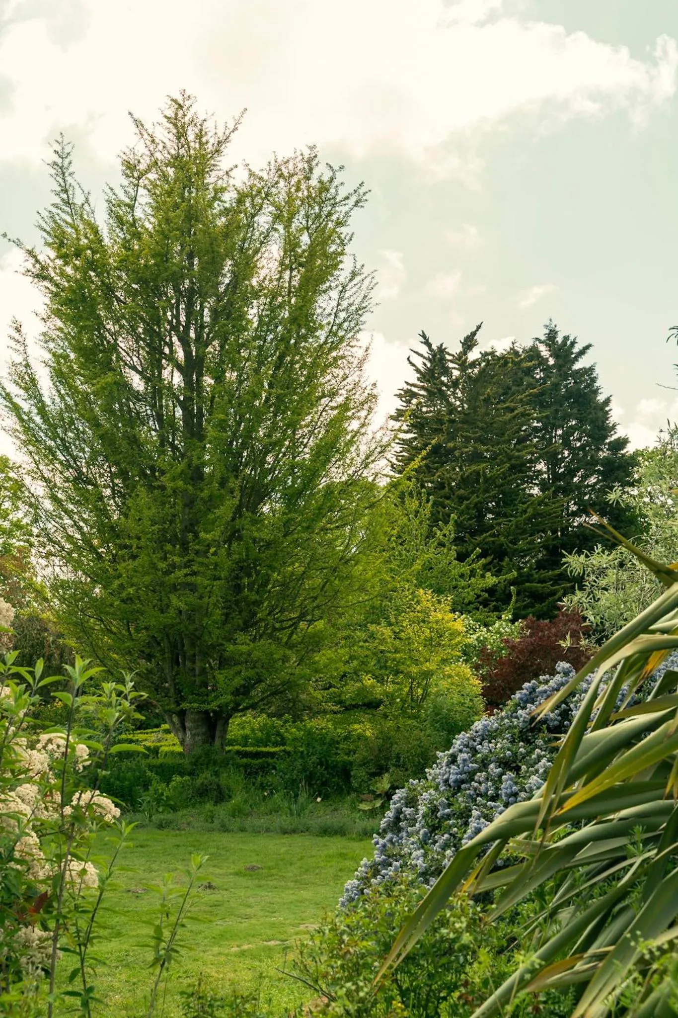 Fritton Lake - The Clubhouse