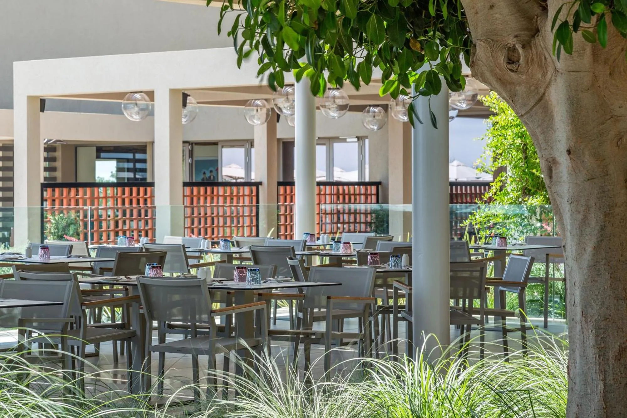 Restaurant/places to eat in Amada Colossos Resort