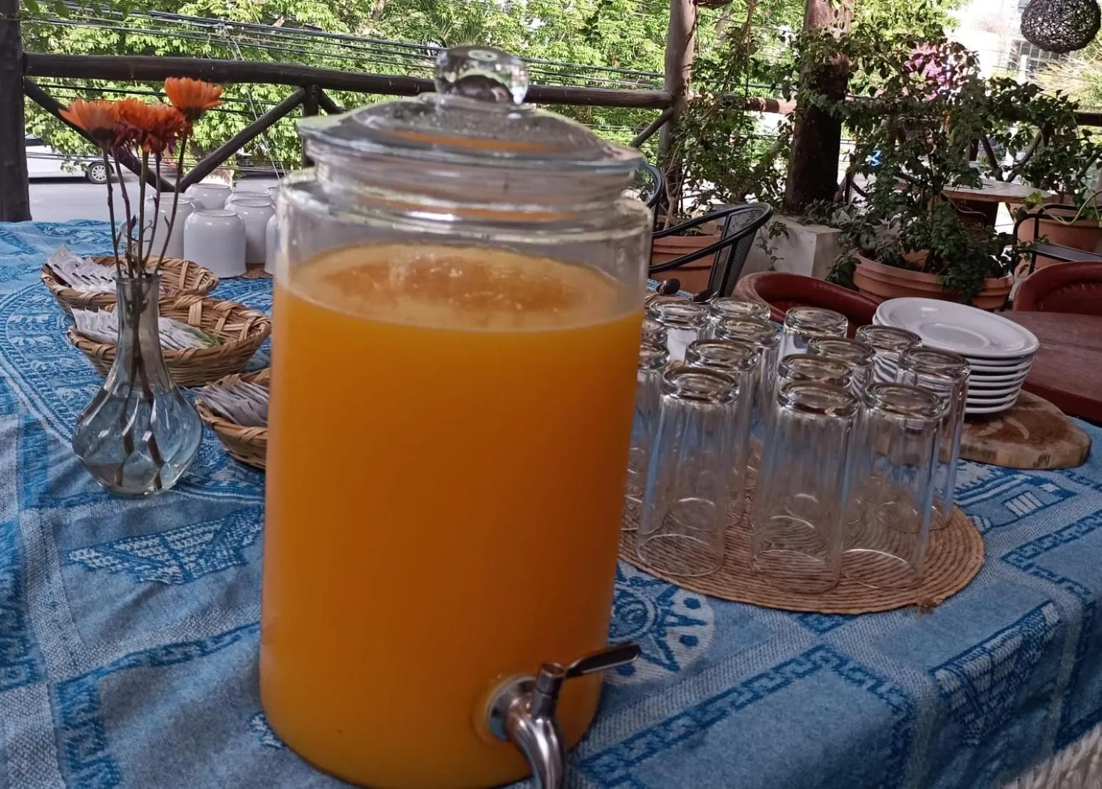 Continental breakfast in MIO Tulum Hotel Boutique