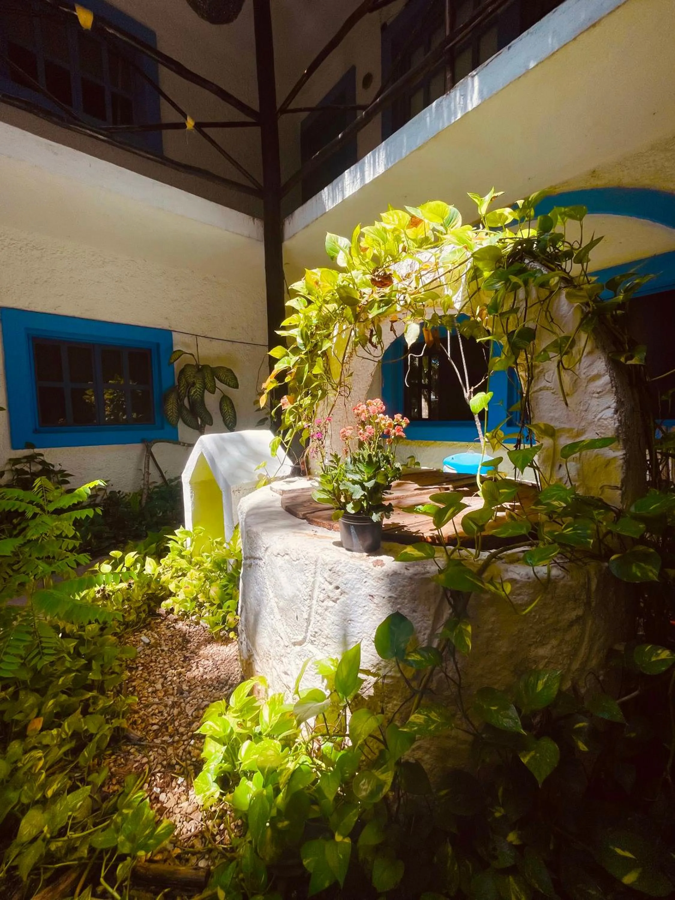 Area and facilities in MIO Tulum Hotel Boutique