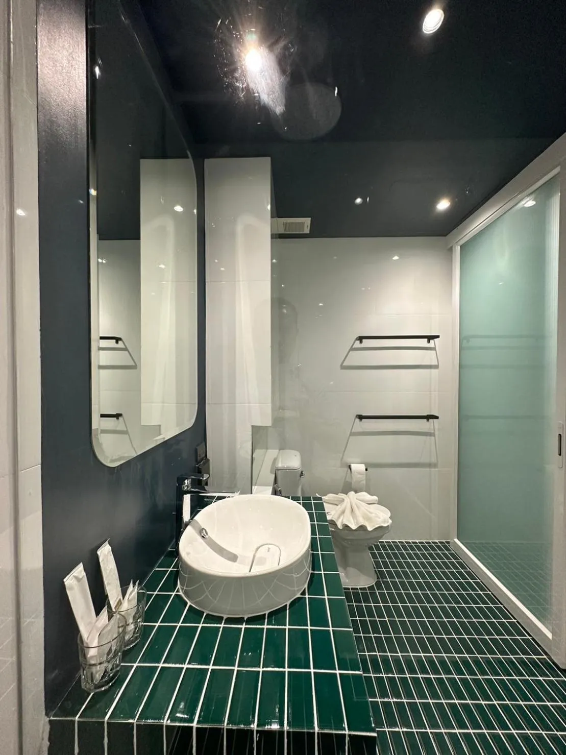 Shower in Hotel Sapin