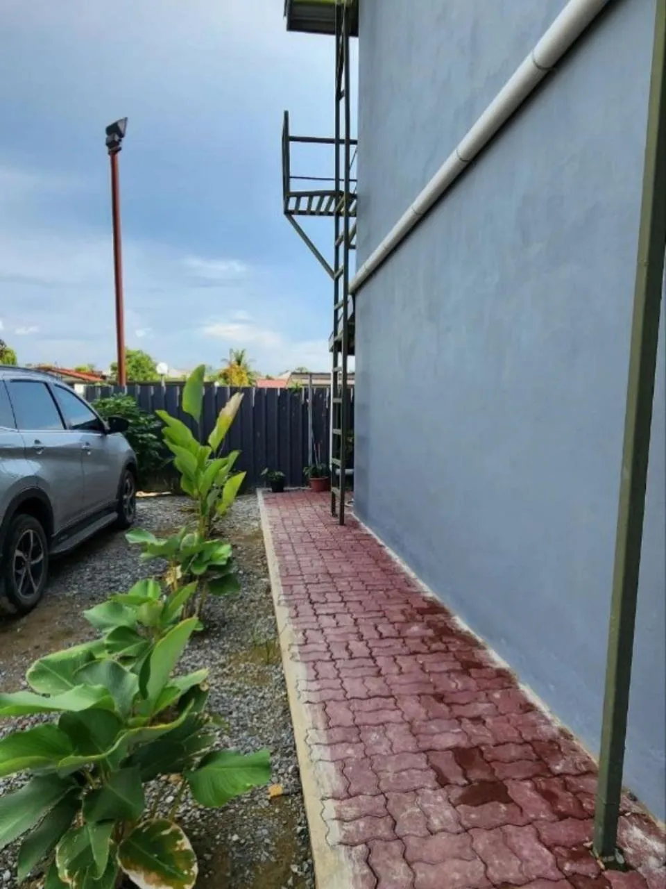 View (from property/room) in Grapevine Garden