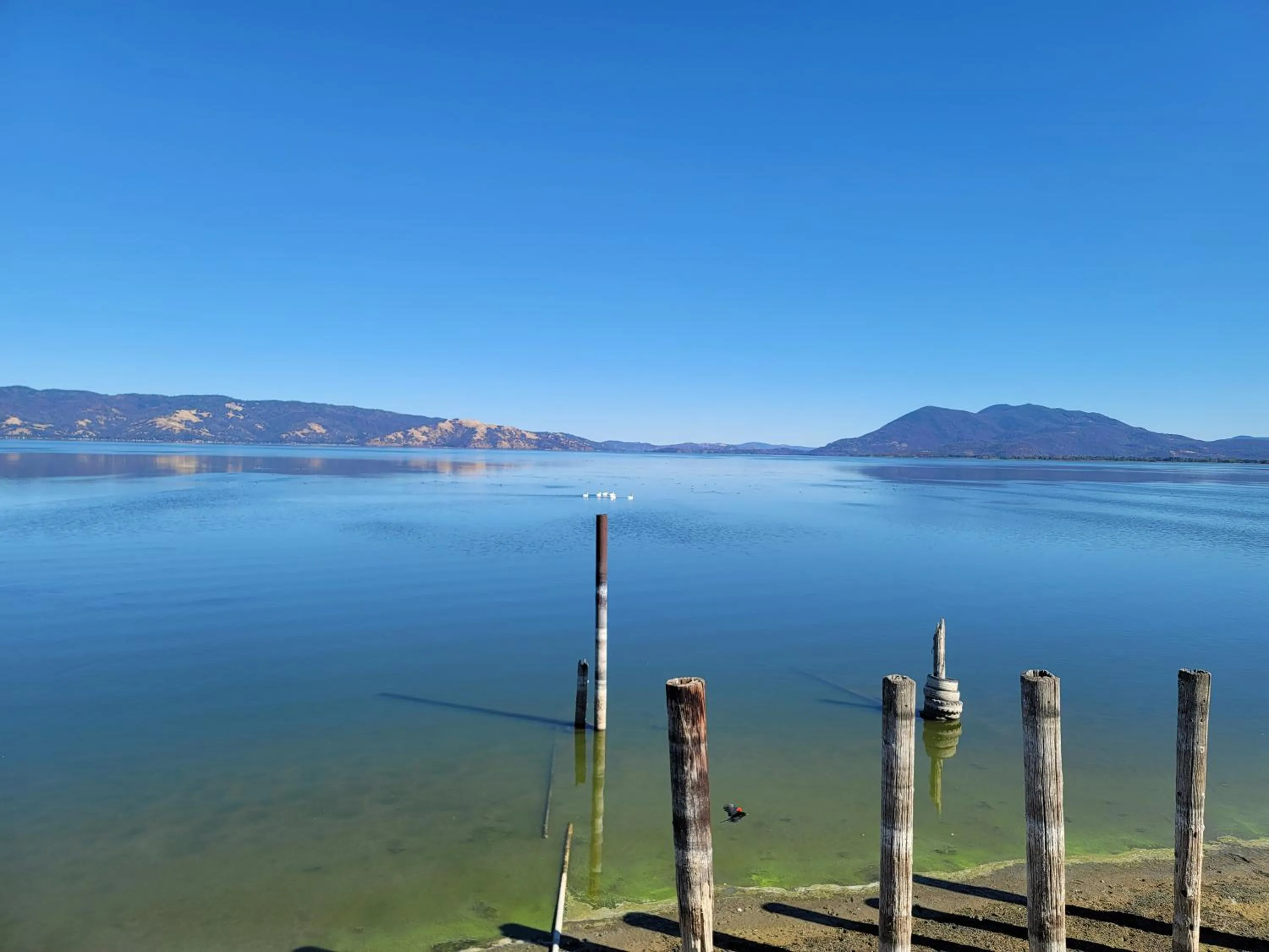 Lake Front Resort (LP#7)