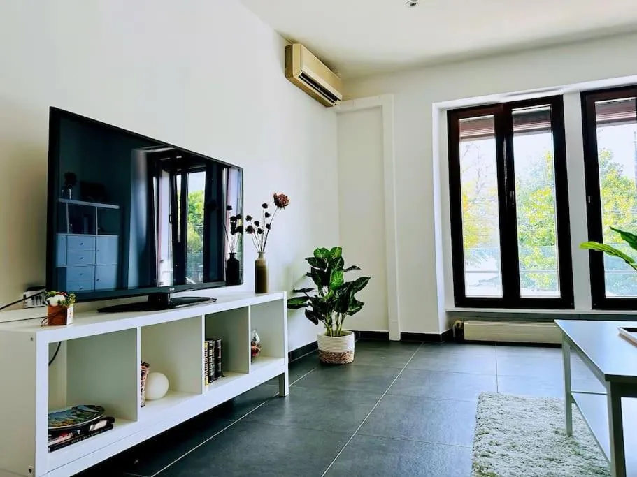 TV and multimedia in Montreux lake side apartment!