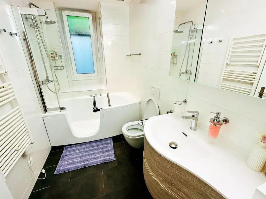 Shower in Montreux lake side apartment!