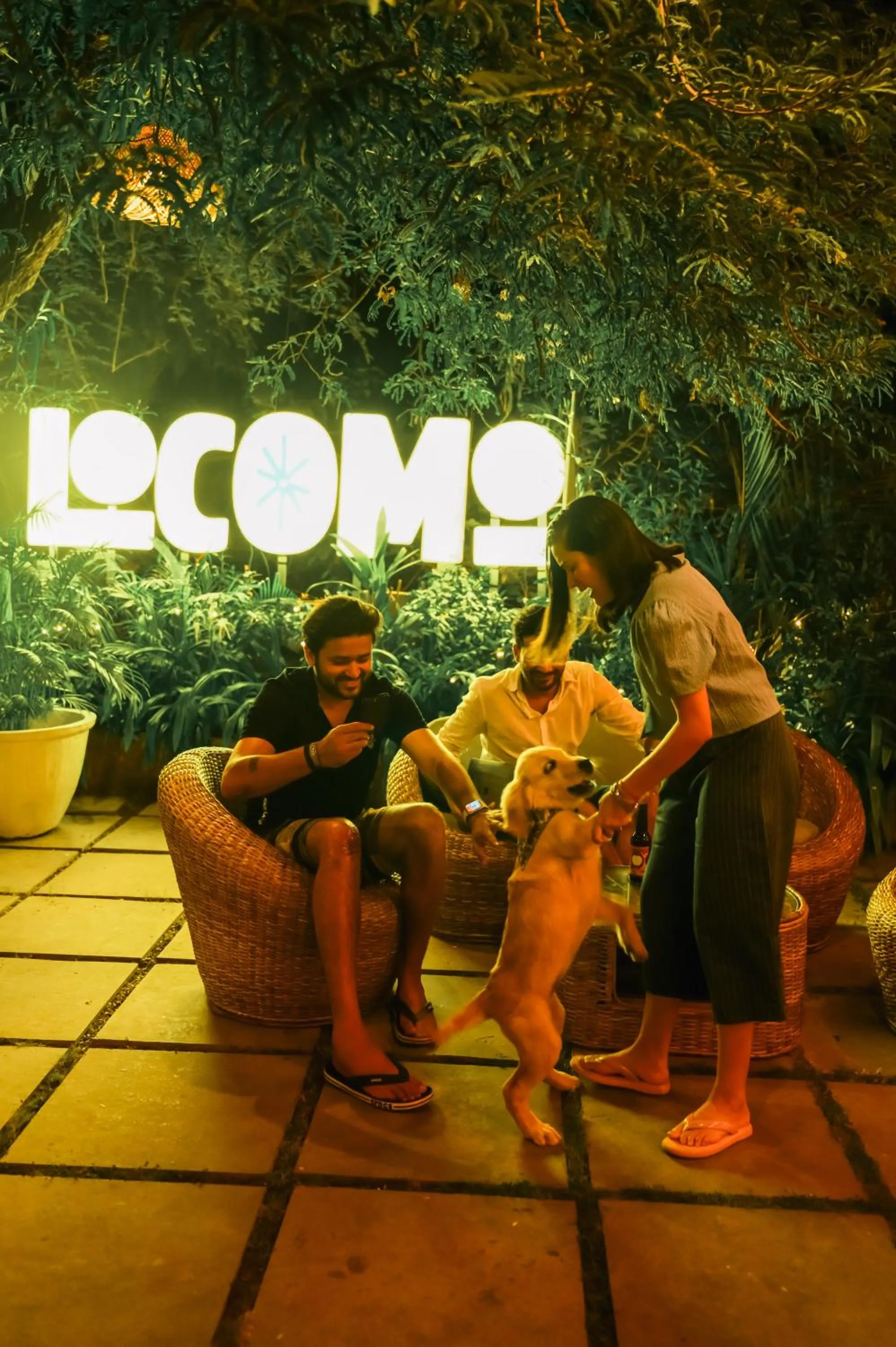 Night in Locomo Boutique, Morjim - Cozy tropical stay, near beach