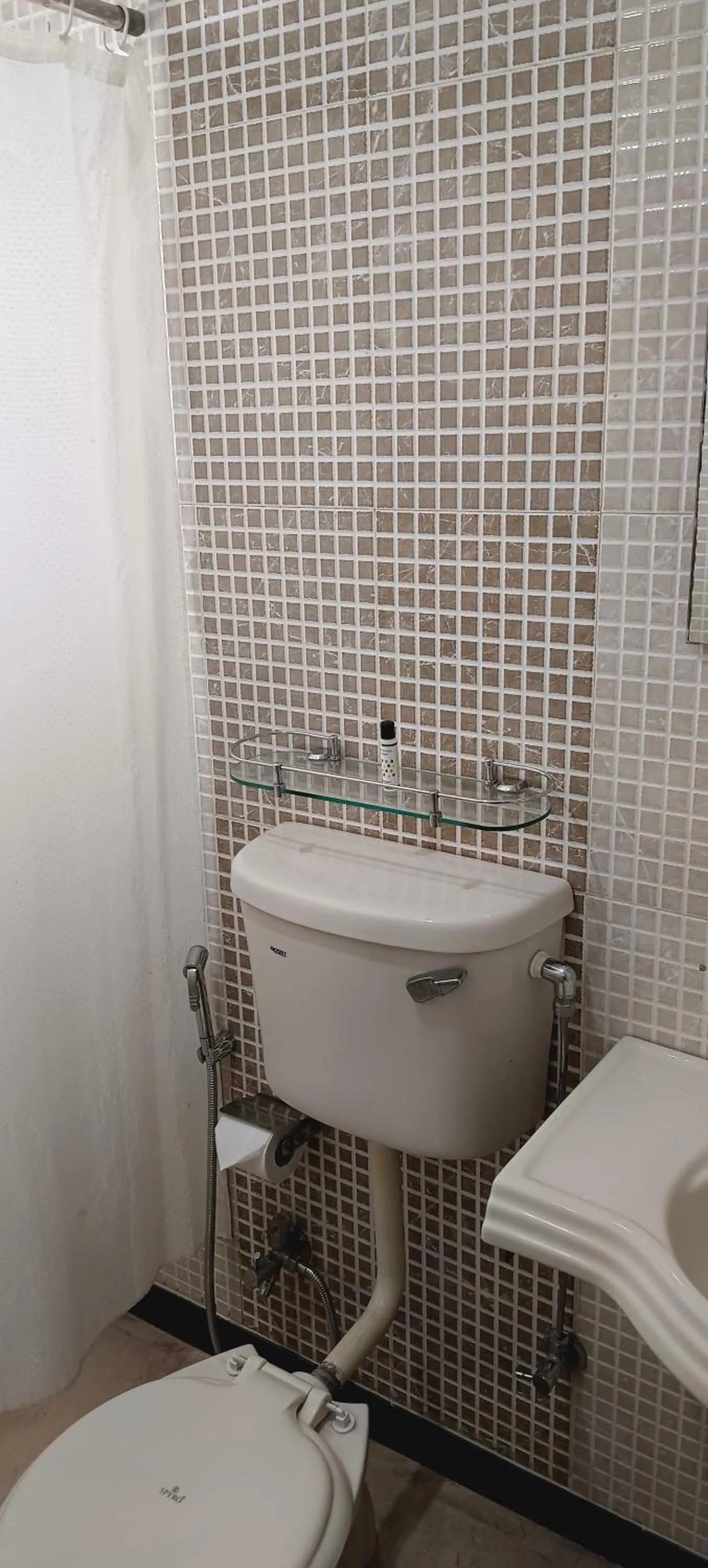 Toilet in Hotel Bagga International