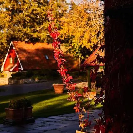 Autumn in Engø Gård Hotel & Restaurant