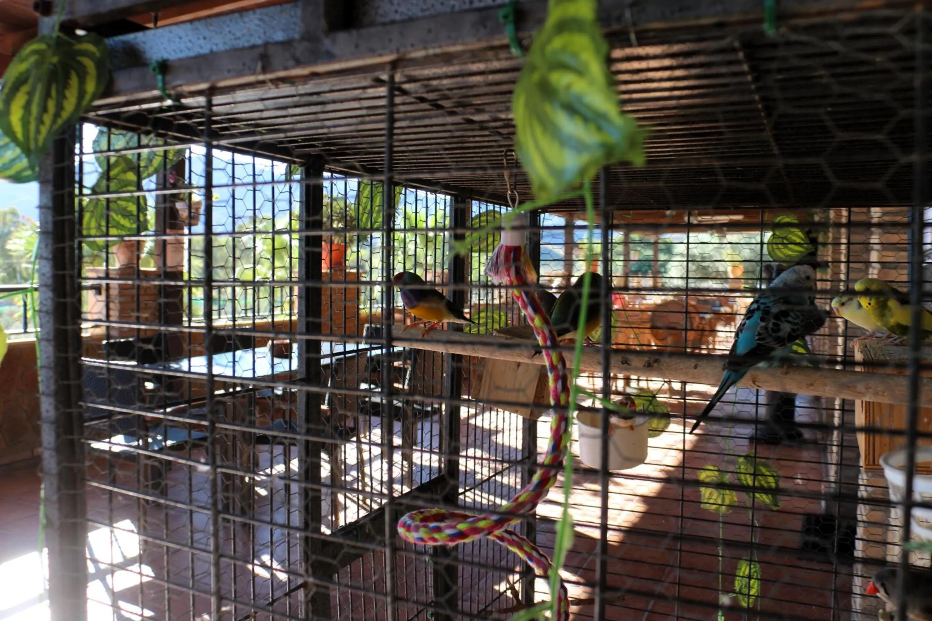 Balcony/Terrace in Hostal Rural Turre