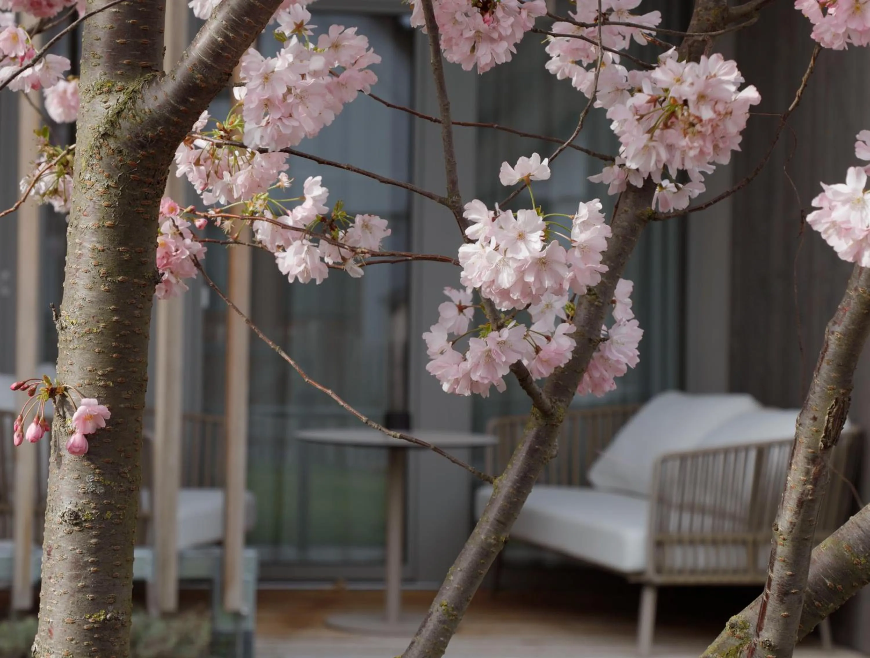 Garden view in Nils am See - ADULTS ONLY ab 18 Jahren