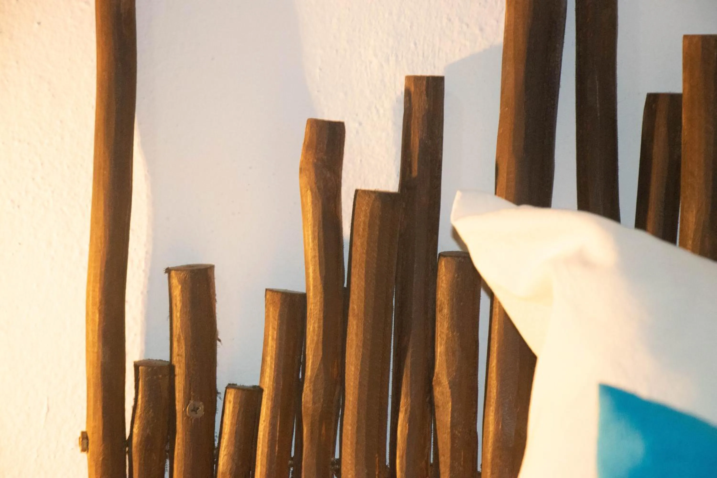 Decorative detail in Hotelito El Cuyo