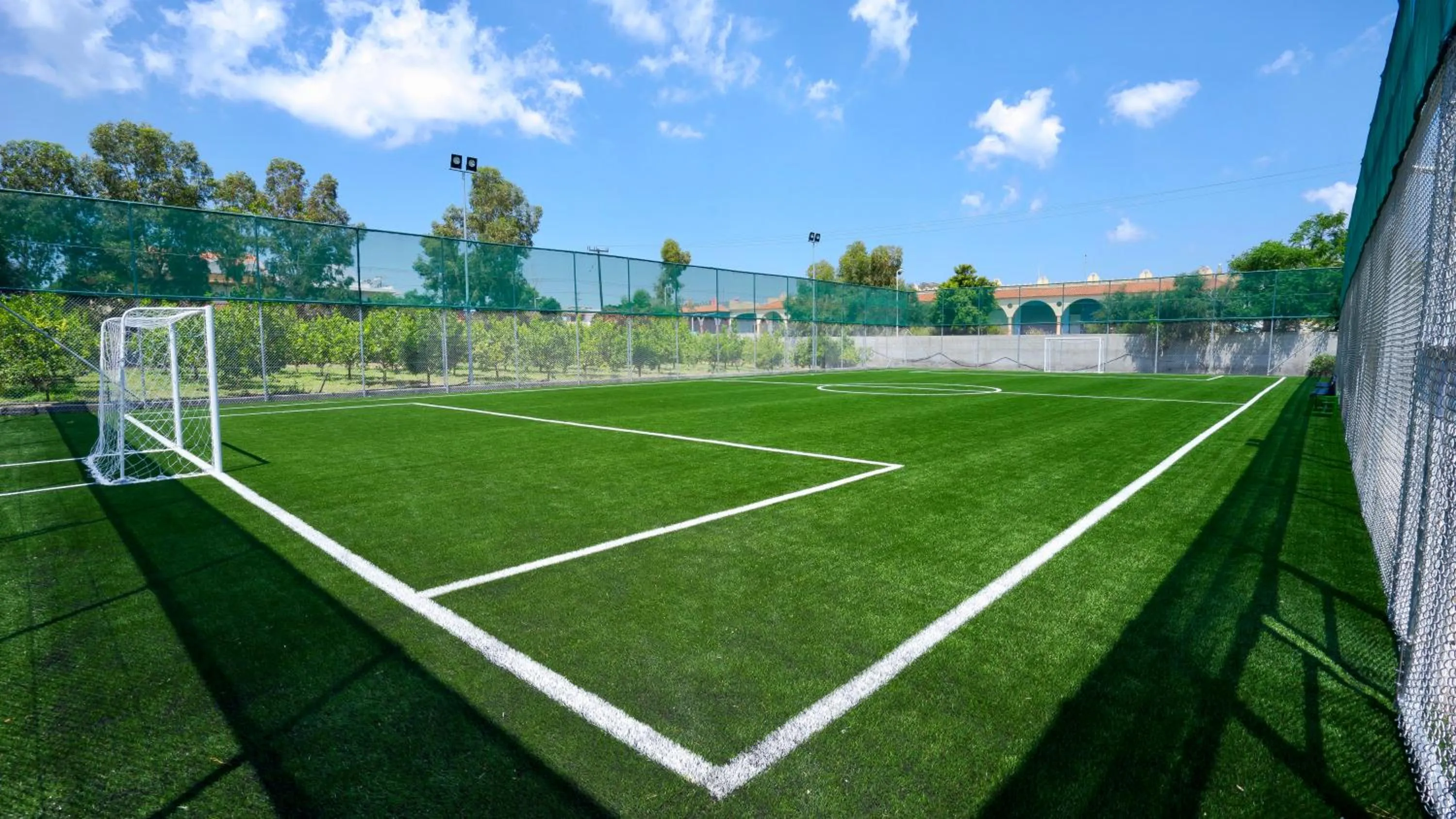 Sports in Apollo Beach