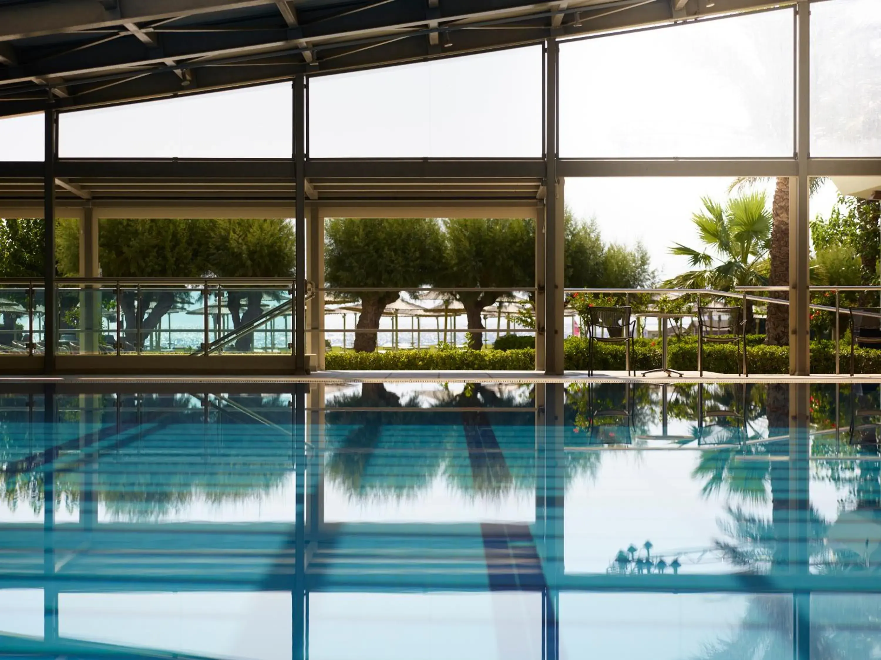 Swimming pool in Apollo Beach Swimming pool in Apollo Beach