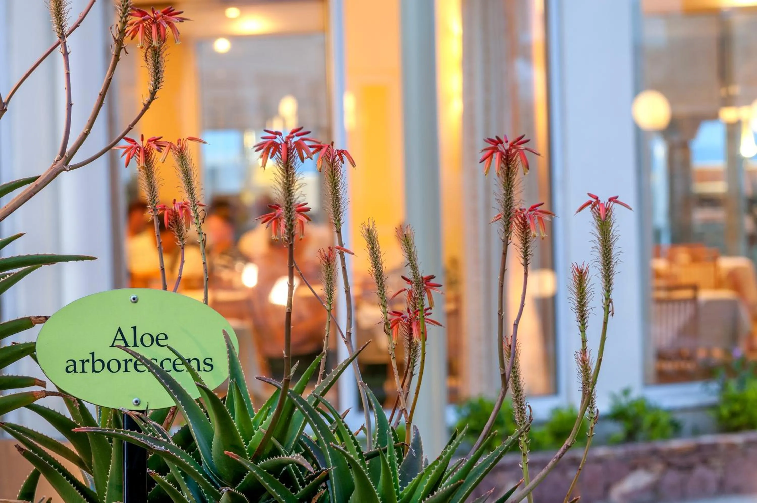 Decorative detail in Apollo Beach