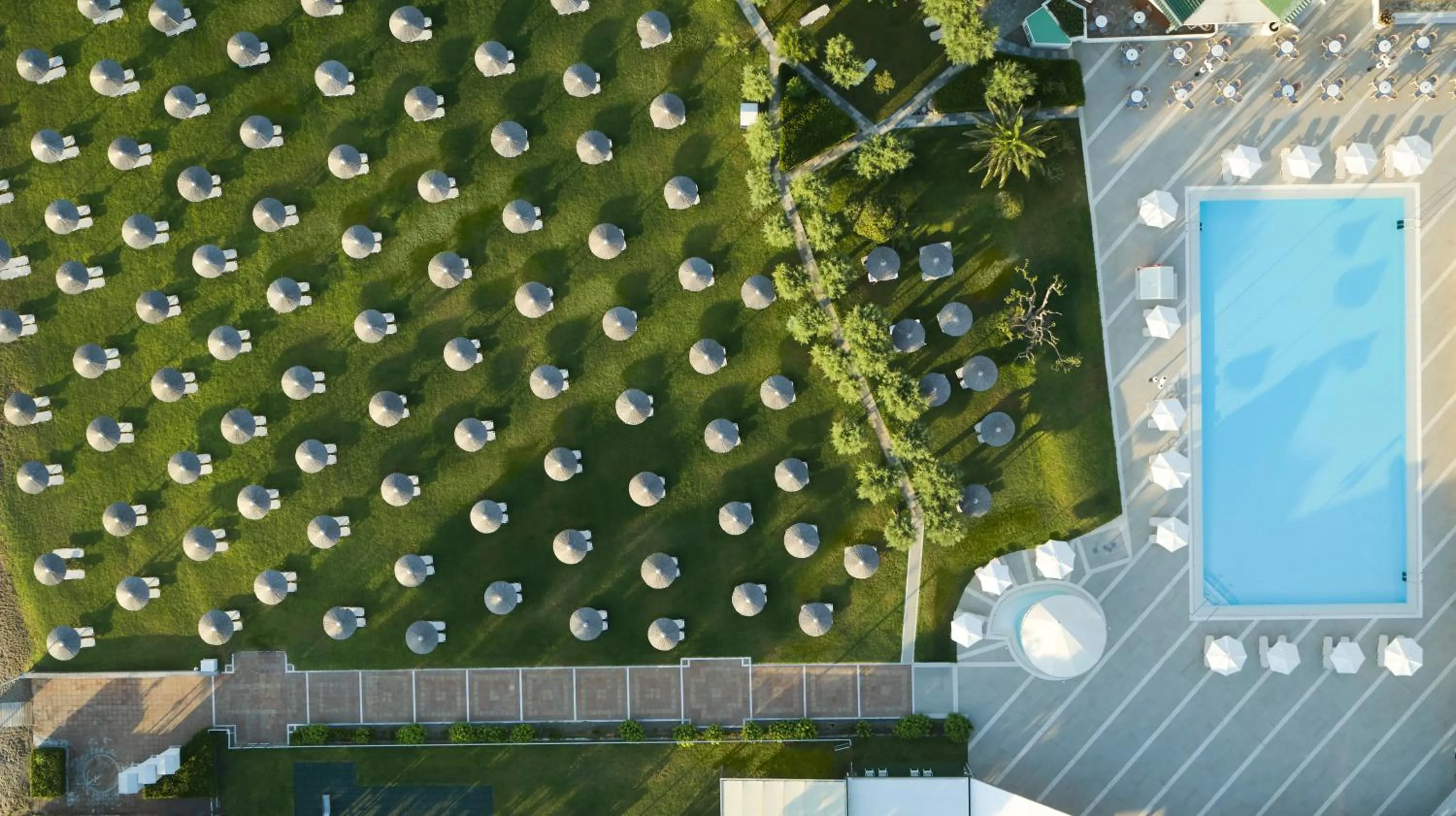 Garden in Apollo Beach