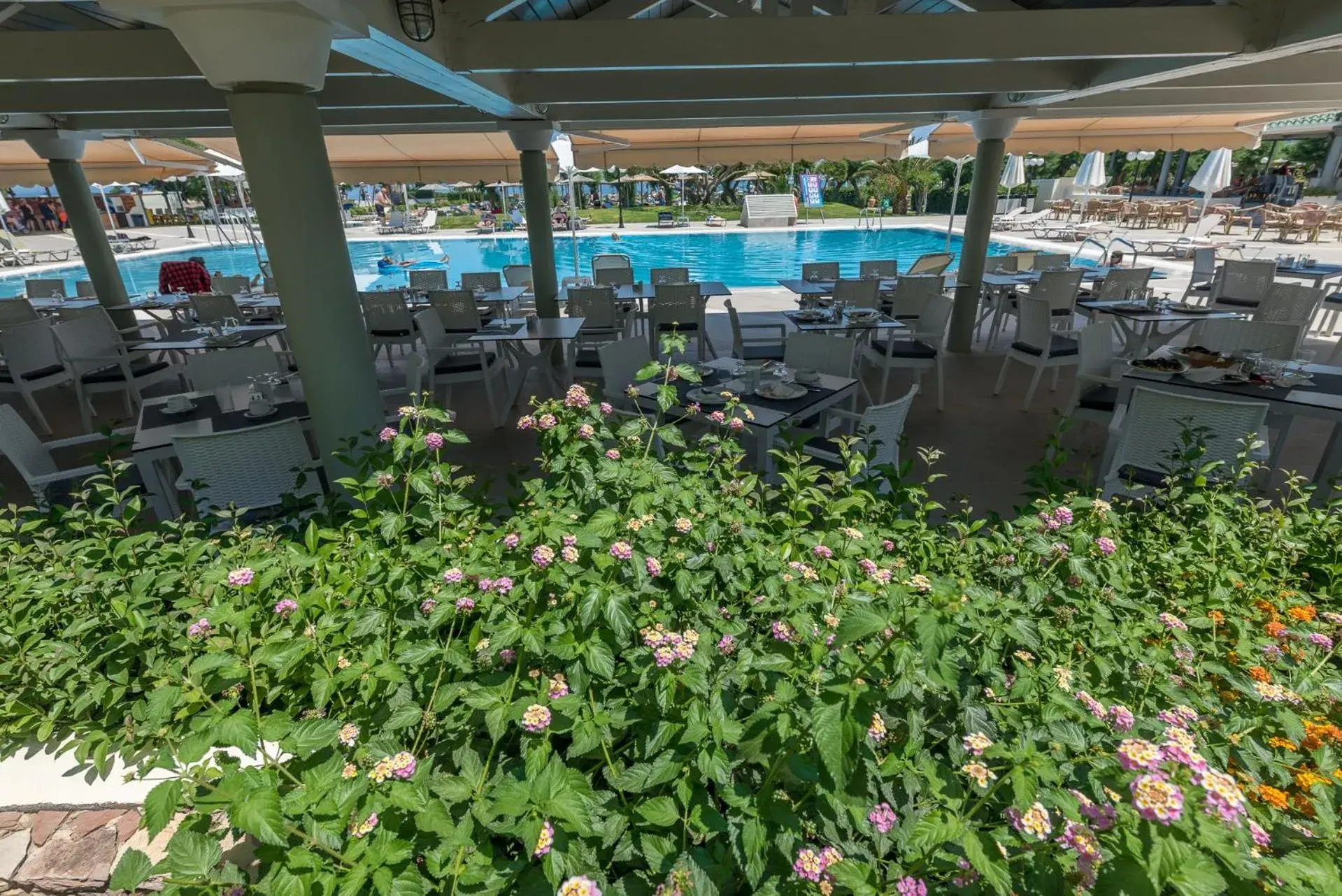 Restaurant/places to eat in Apollo Beach Restaurant/places to eat in Apollo Beach