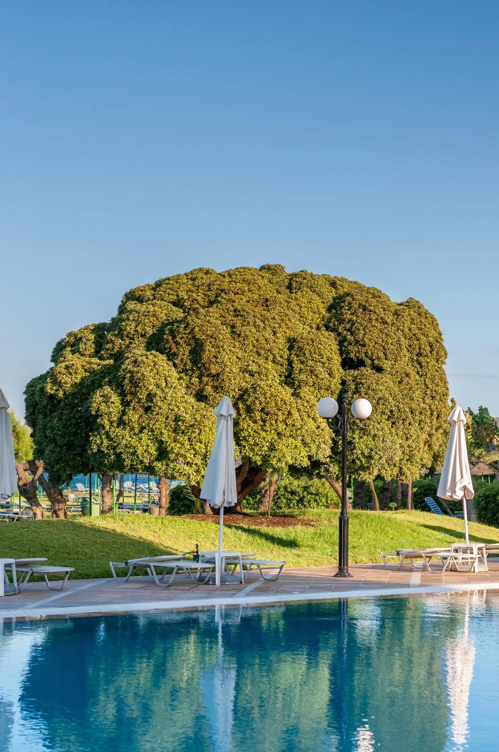 Garden in Apollo Beach