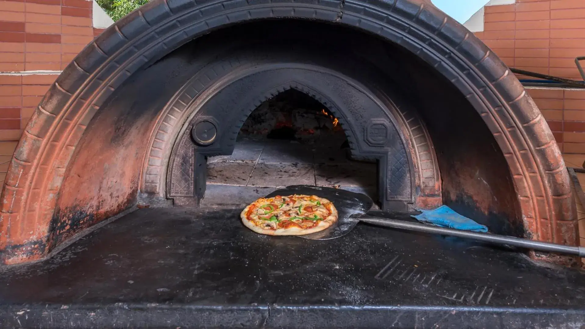 Food close-up in Apollo Beach Food close-up in Apollo Beach