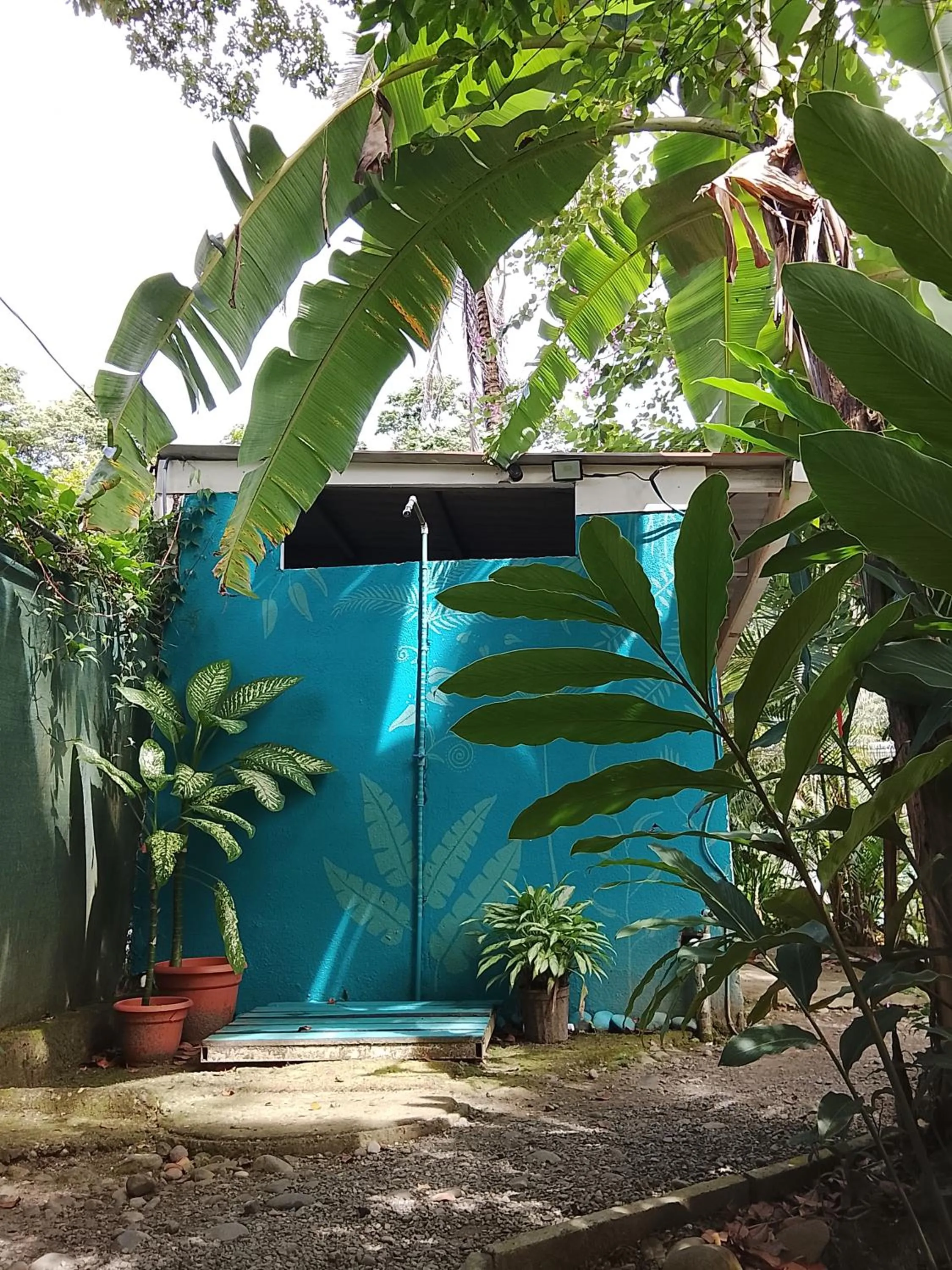 Garden in Hotel Exotic Lodge